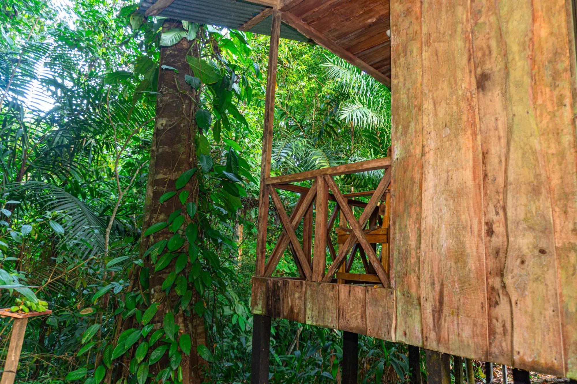 Citronela Corcovado Hotel