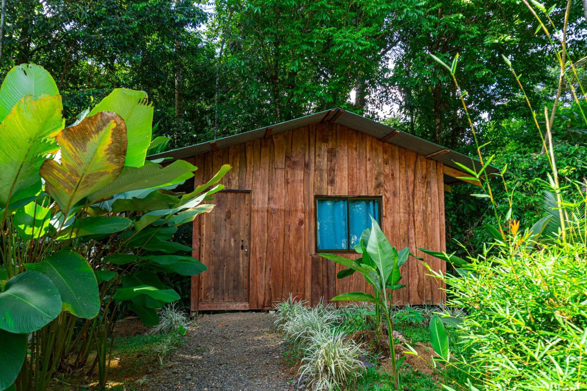 Hotel Citronela Corcovado Drake Bay