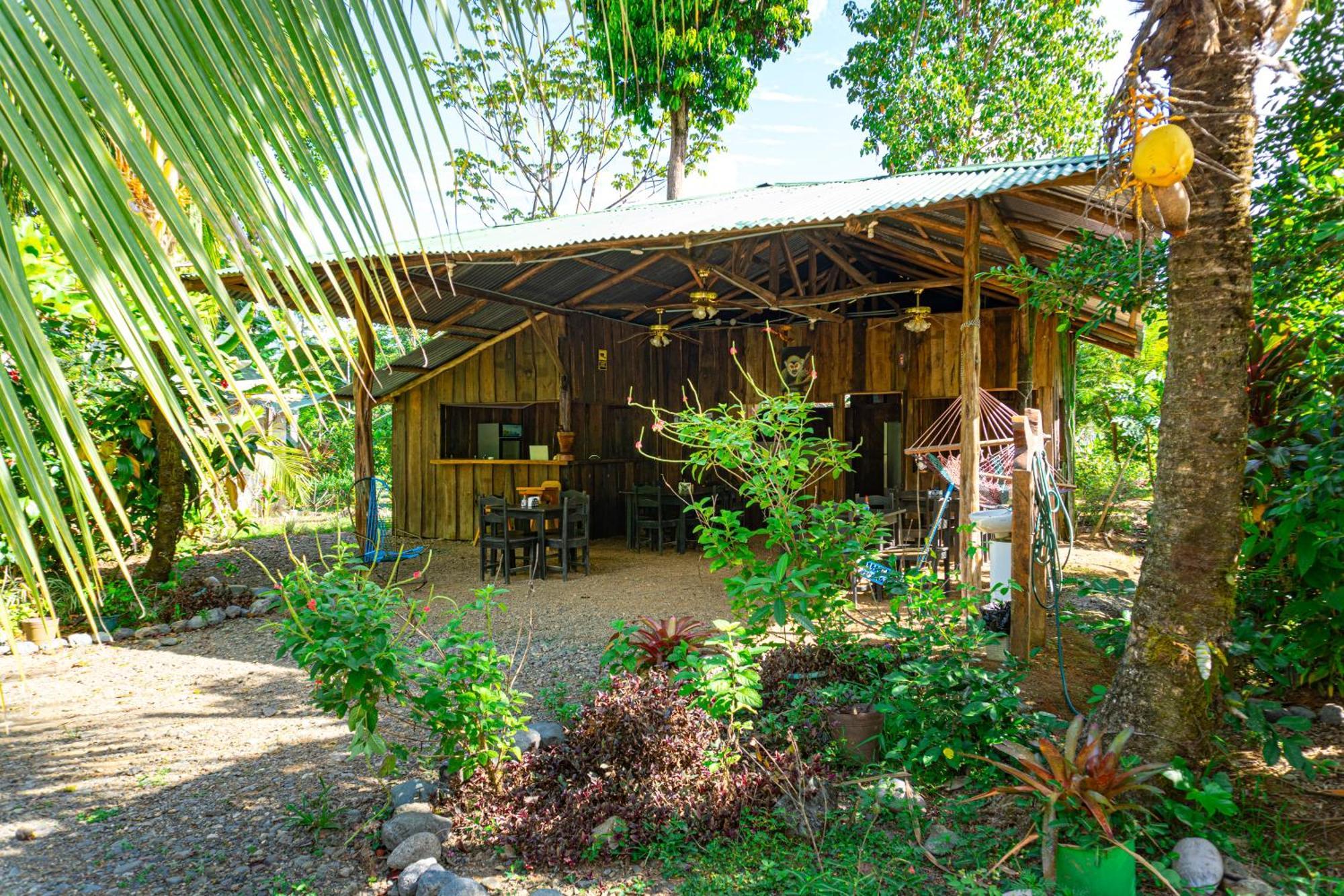 Citronela Corcovado Hotel Drake Bay
