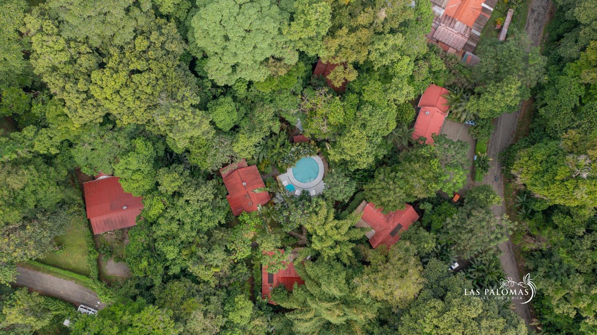 Palomas Villa