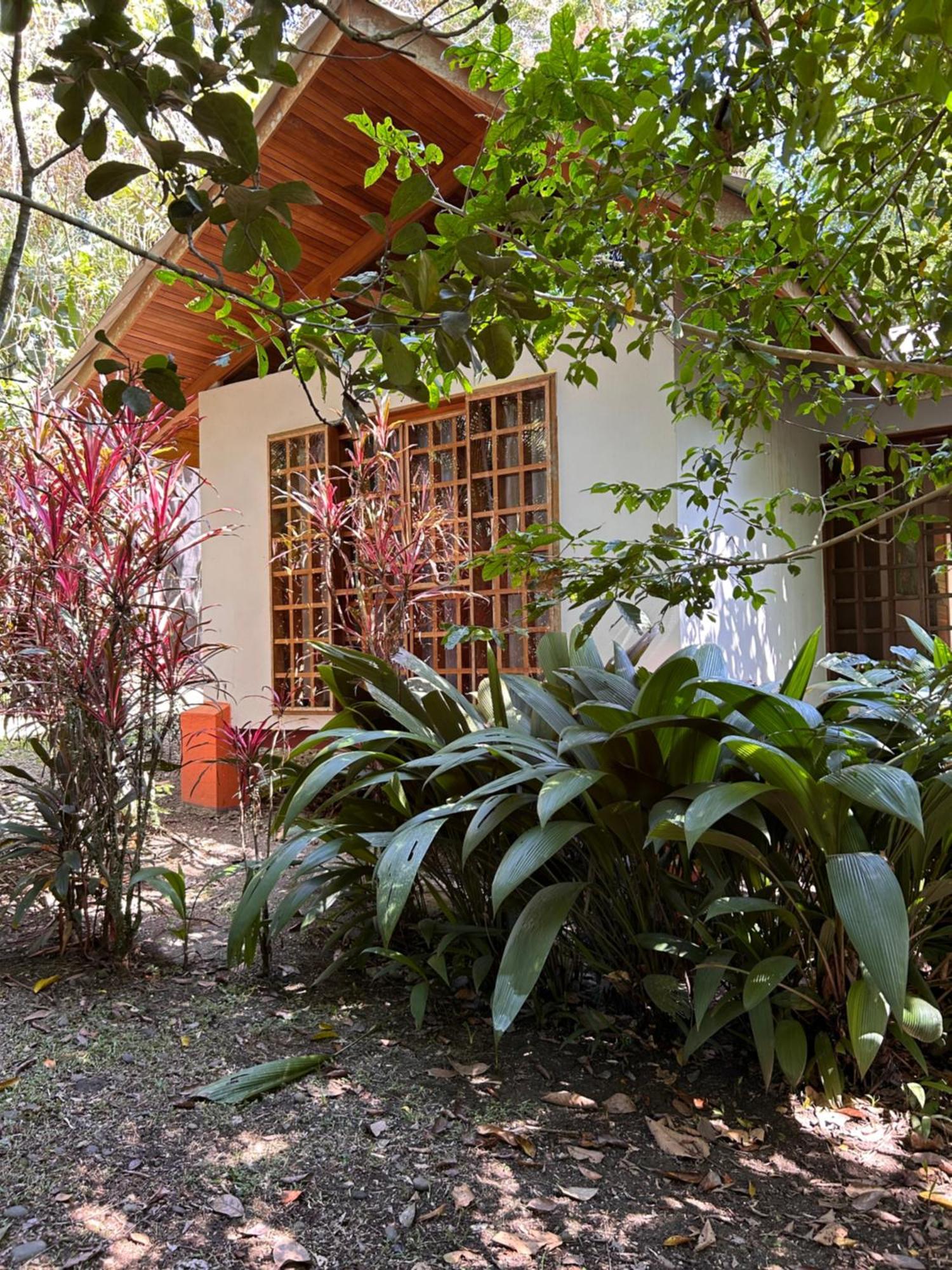 Palomas Villa Cocles