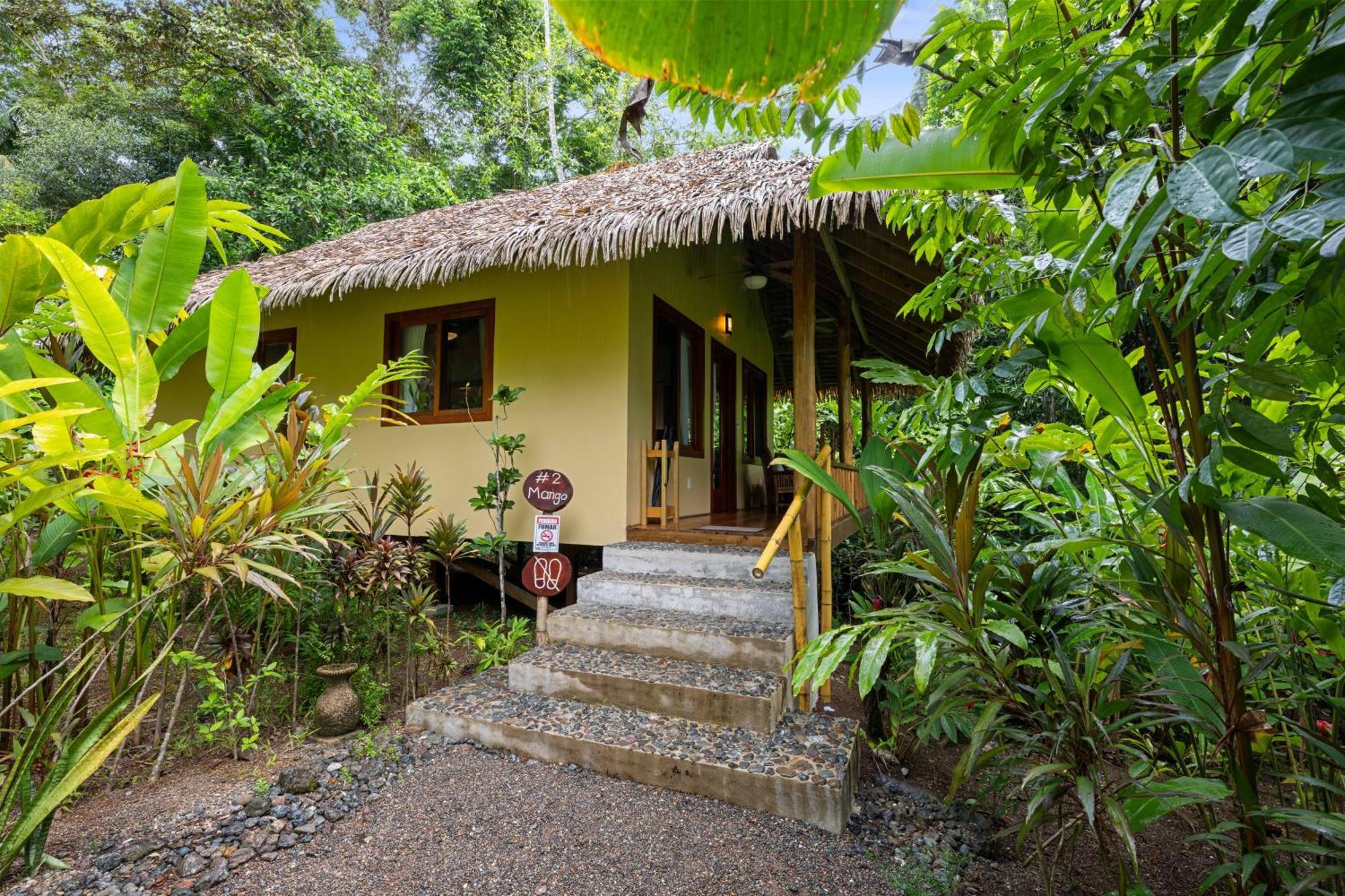 Copa De Arbol & Rainforest 5* Drake Bay