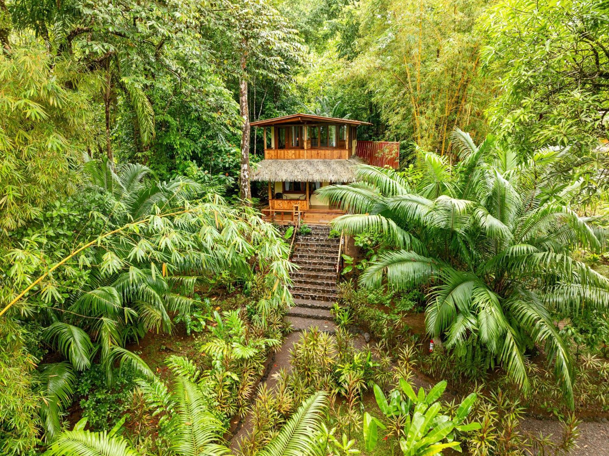 Copa De Arbol & Rainforest Resort