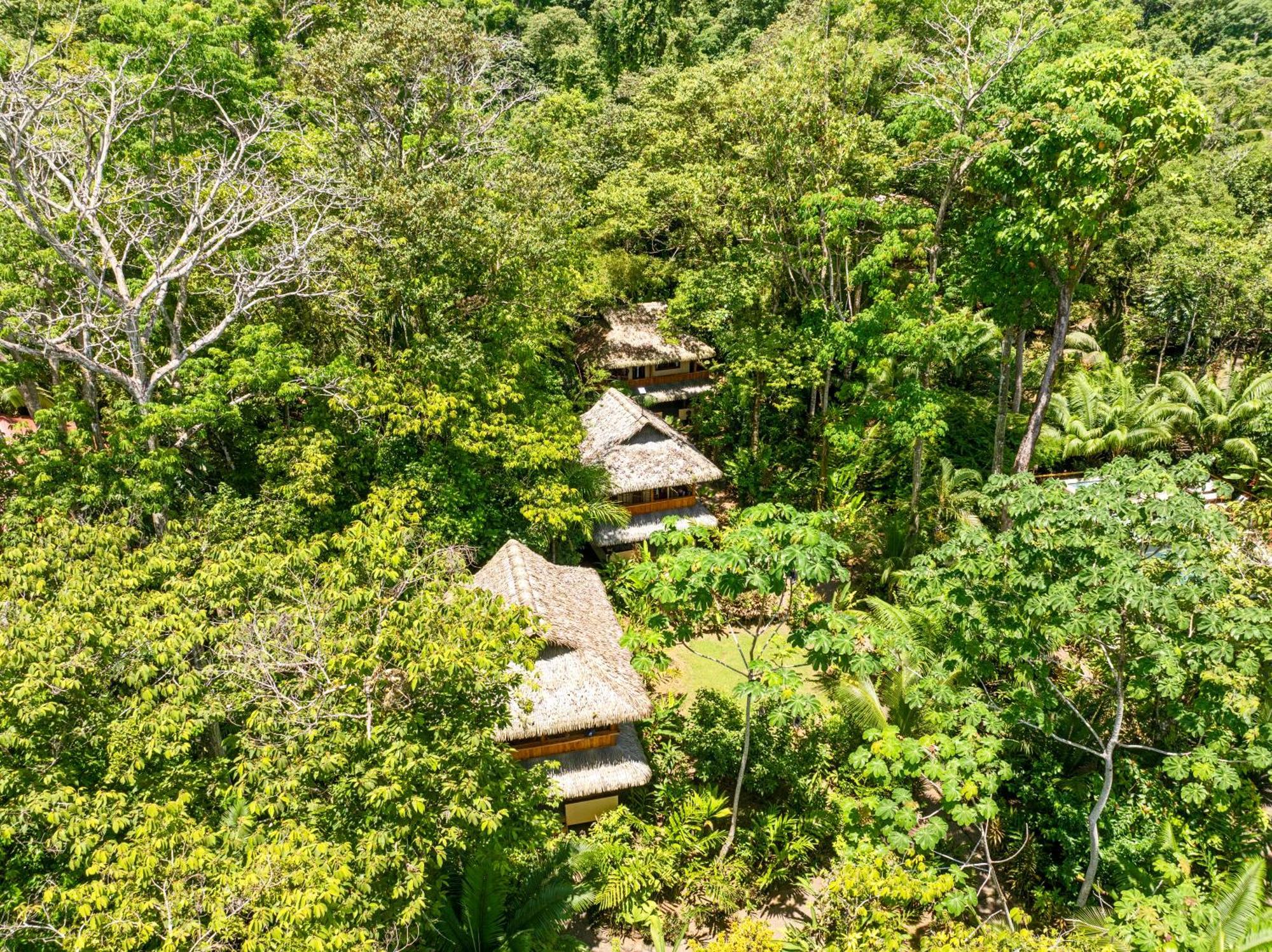 Resort Copa De Arbol & Rainforest 5*