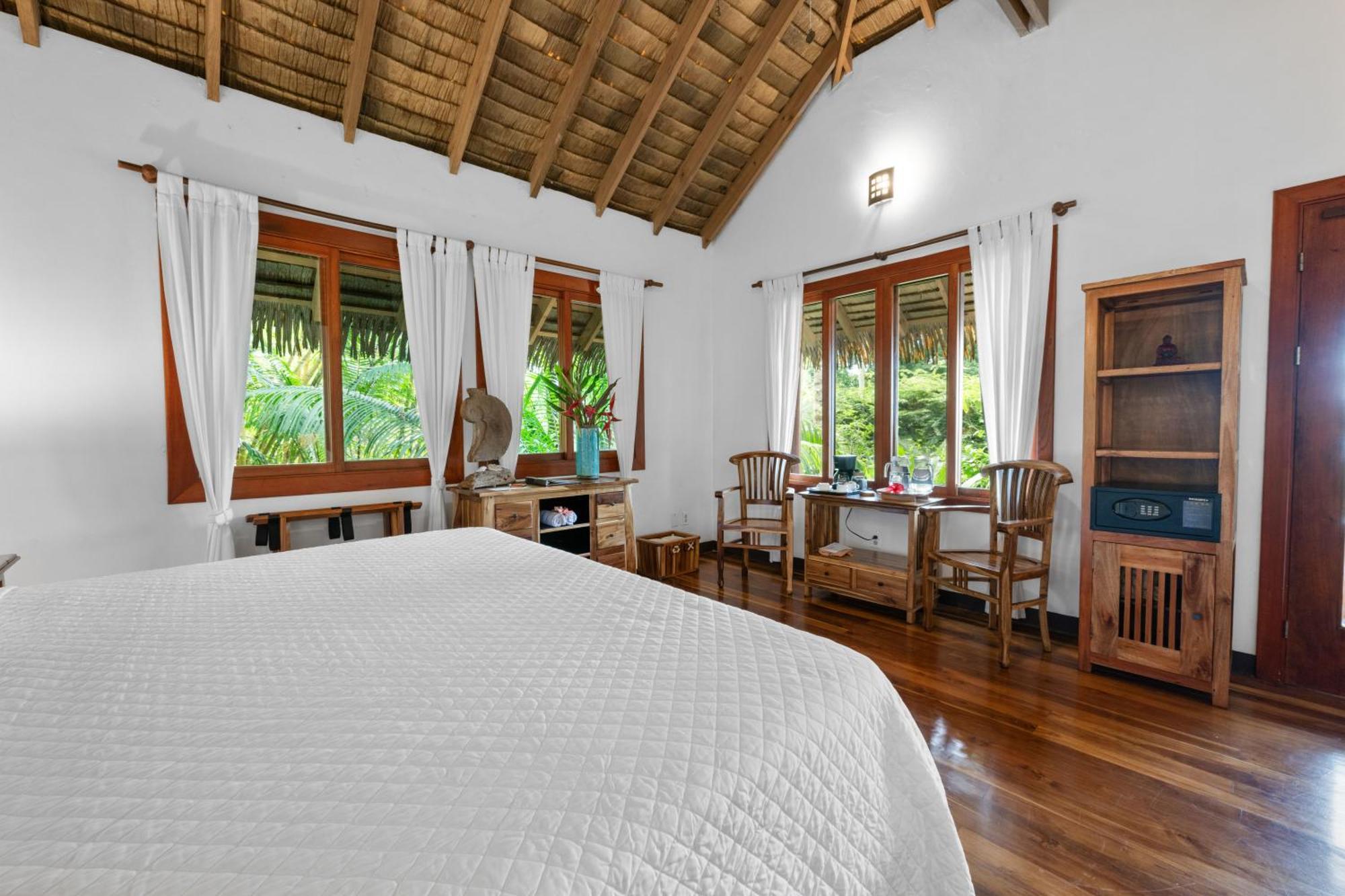 Copa De Arbol & Rainforest Drake Bay