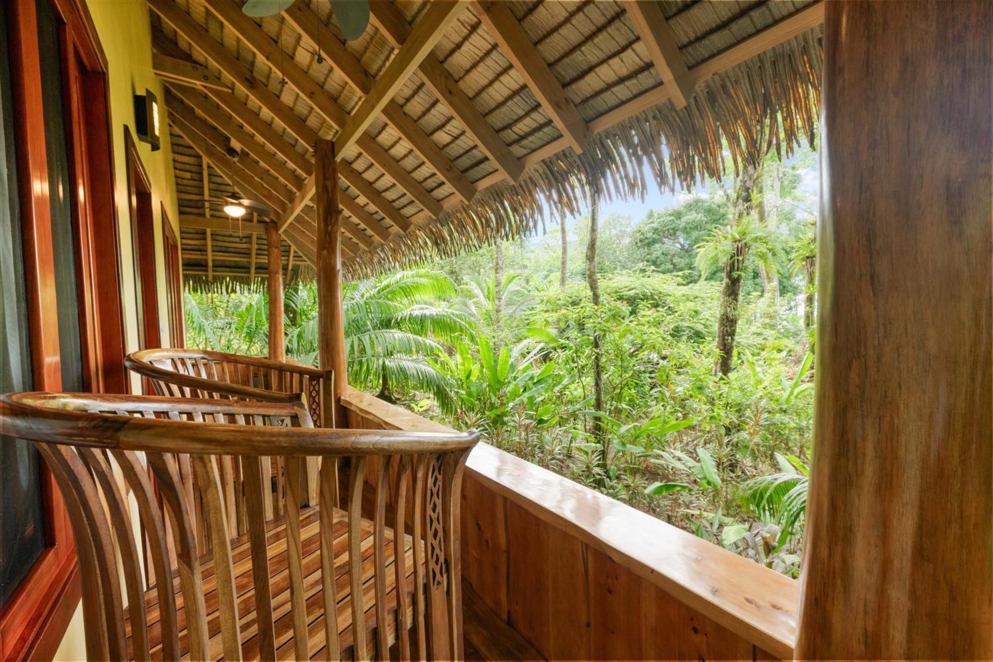 Copa De Arbol & Rainforest Resort Drake Bay