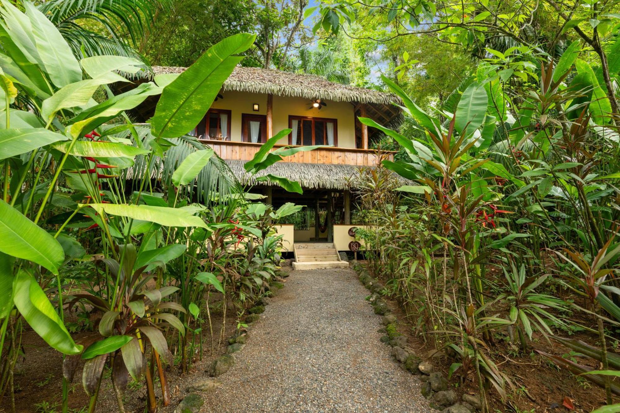 Copa De Arbol & Rainforest 5*