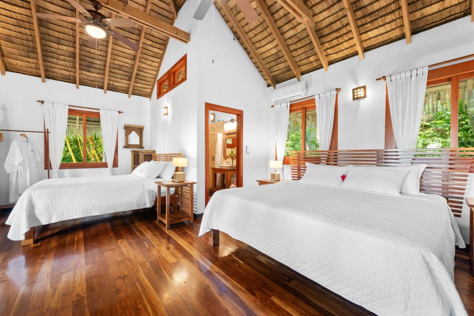 Copa De Arbol & Rainforest Drake Bay