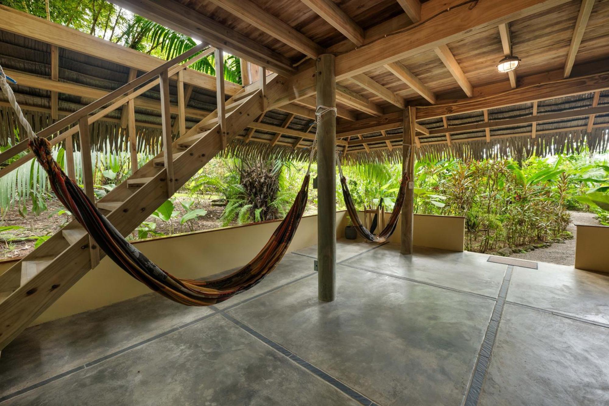Copa De Arbol & Rainforest 5* Drake Bay