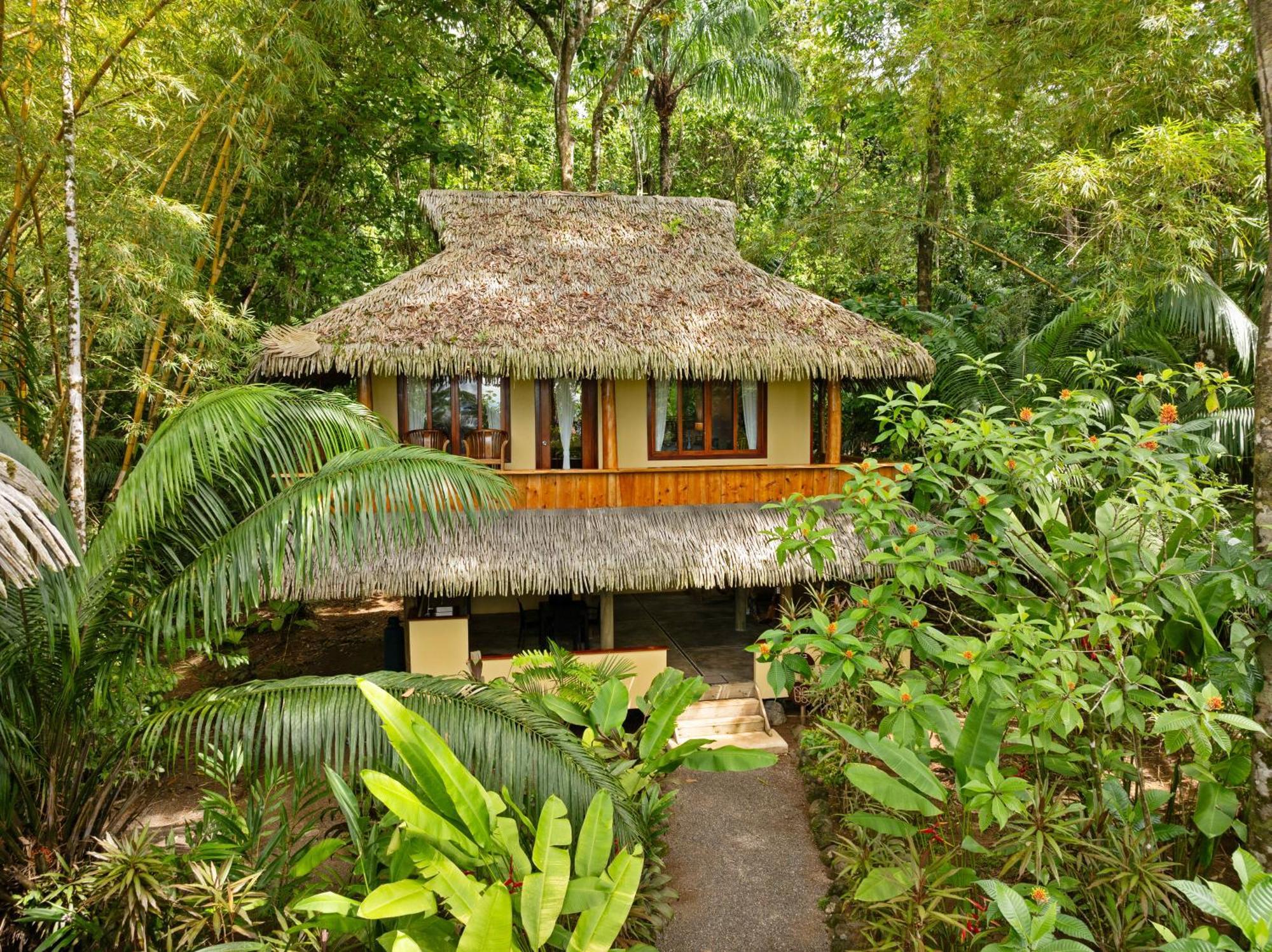 Copa De Arbol & Rainforest Resort