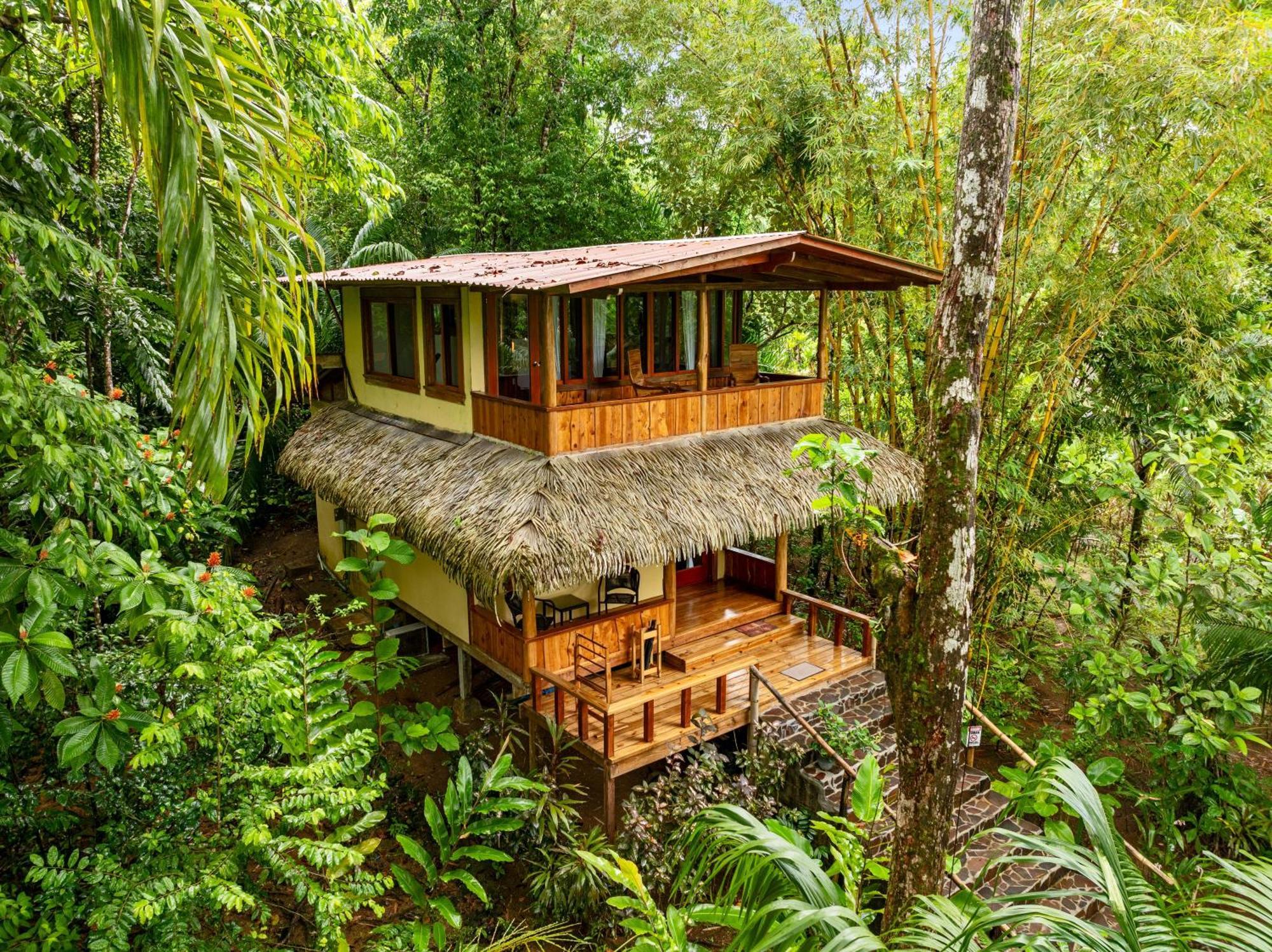 Resort Copa De Arbol & Rainforest