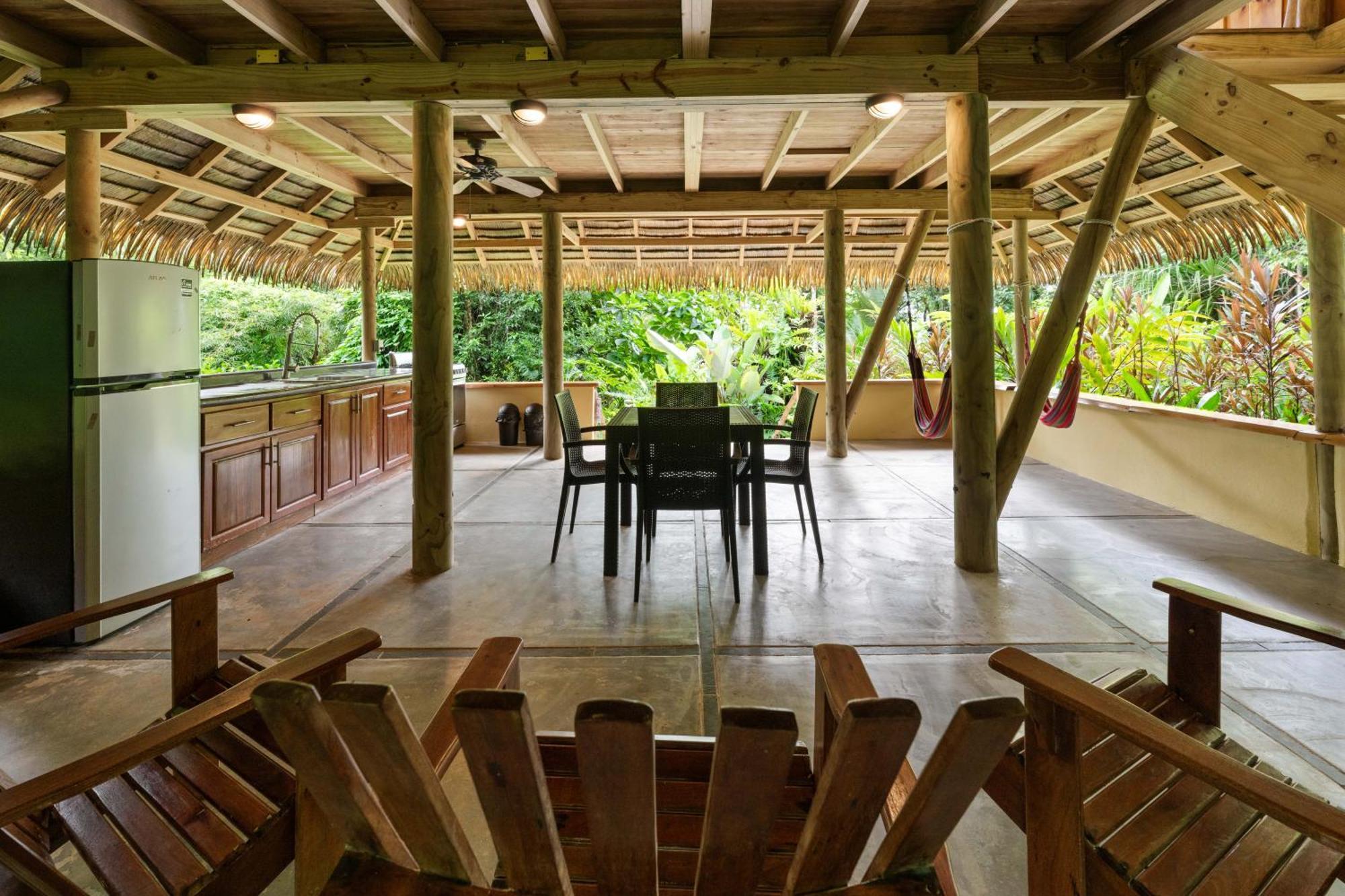 Copa De Arbol & Rainforest
