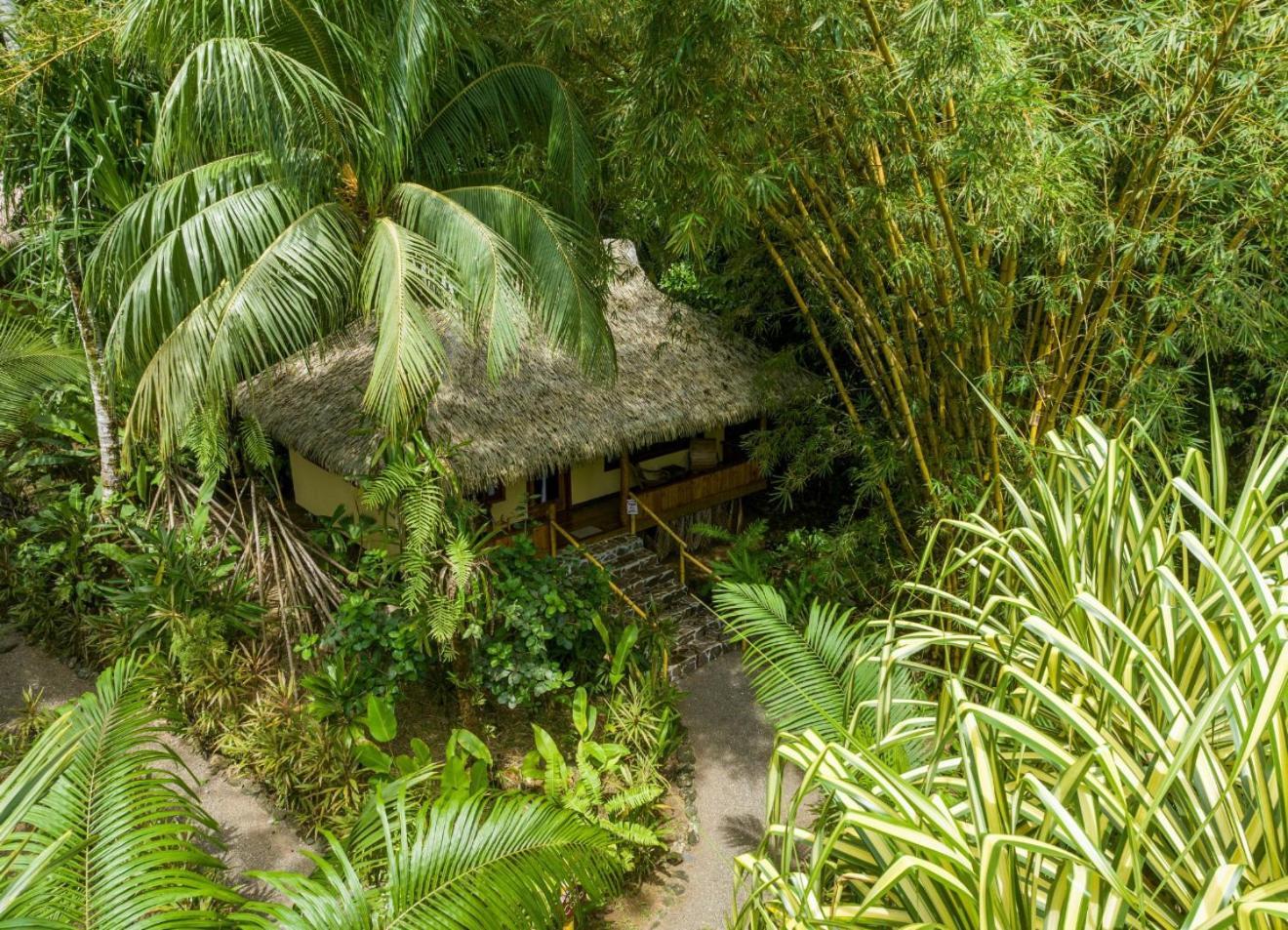 Copa De Arbol & Rainforest Resort Drake Bay