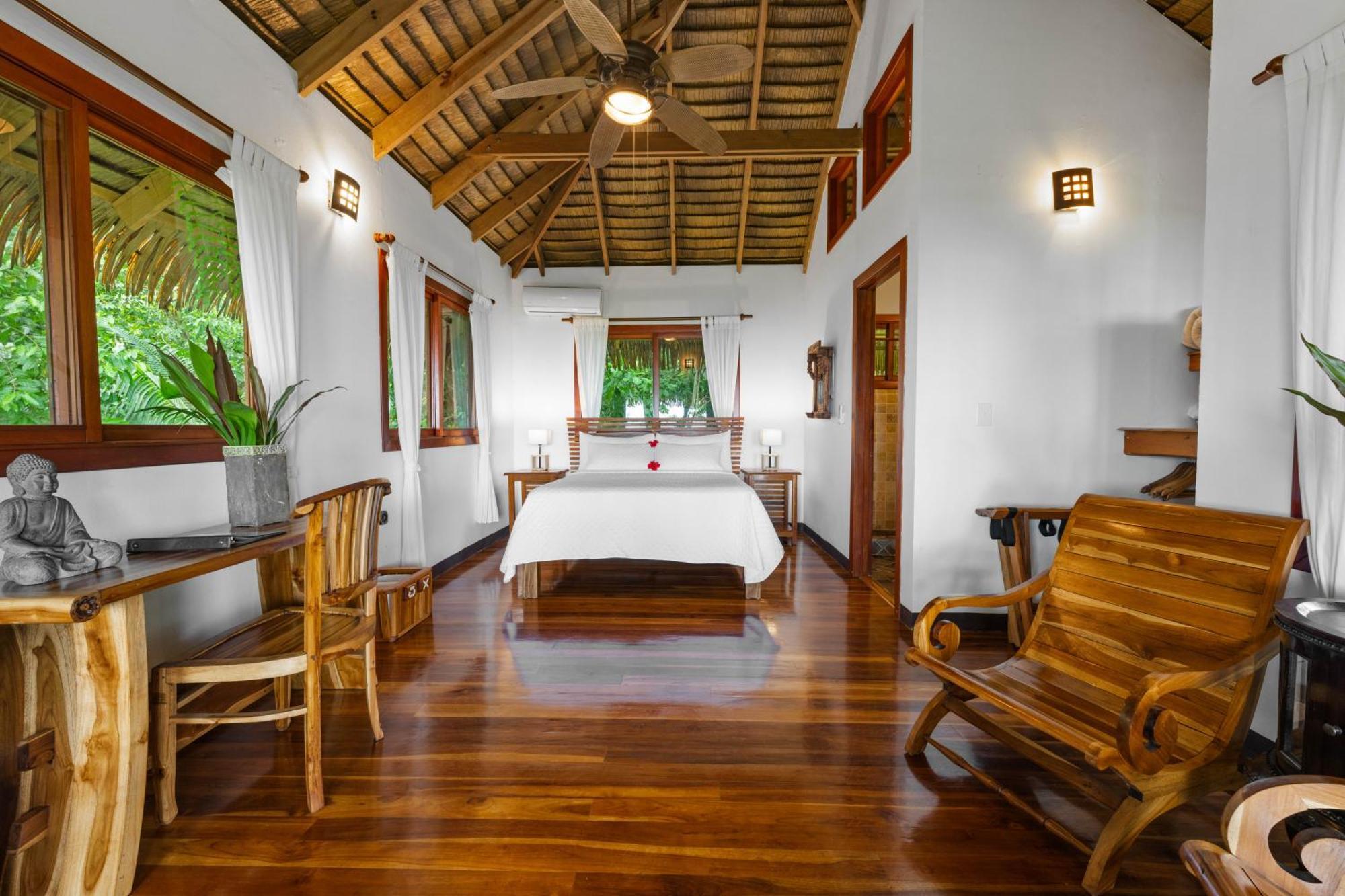 Copa De Arbol & Rainforest Drake Bay