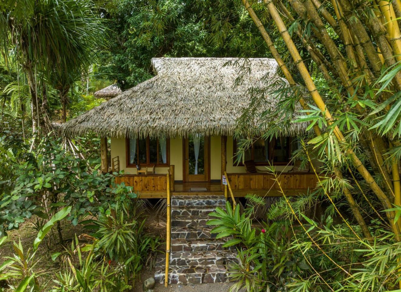 Copa De Arbol & Rainforest Resort 5*