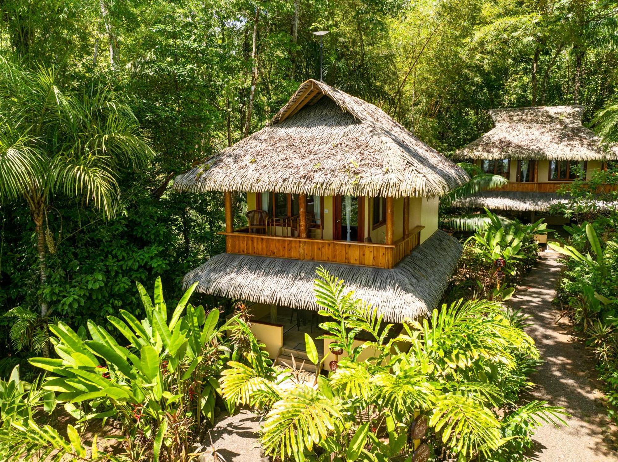 Resort Copa De Arbol & Rainforest Drake Bay