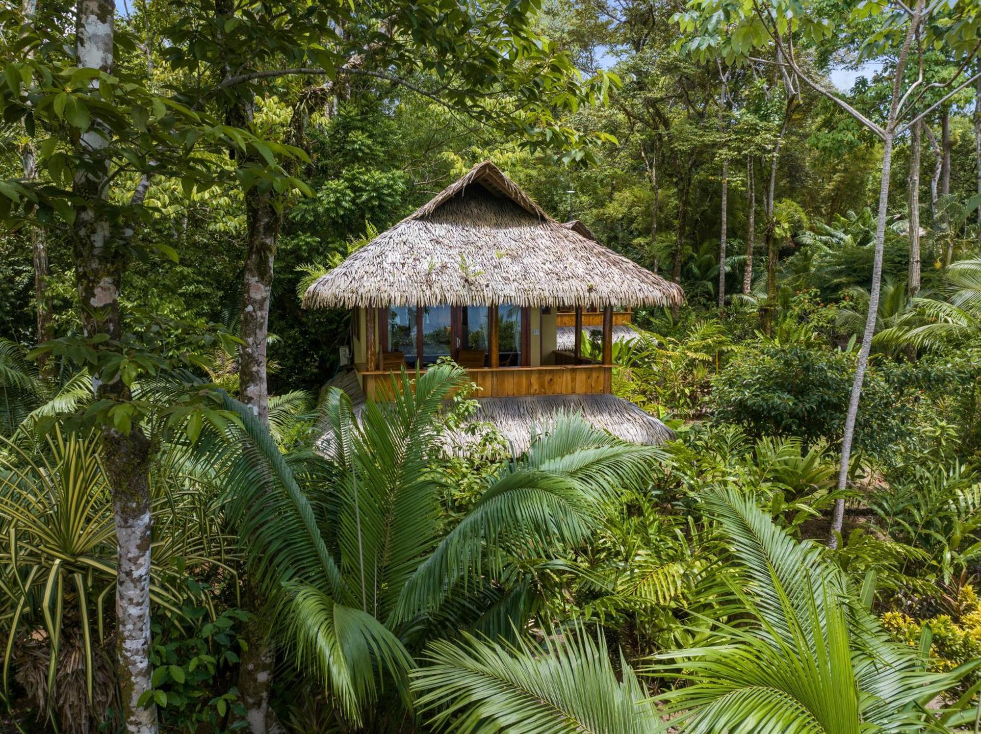 Copa De Arbol & Rainforest 5* Drake Bay