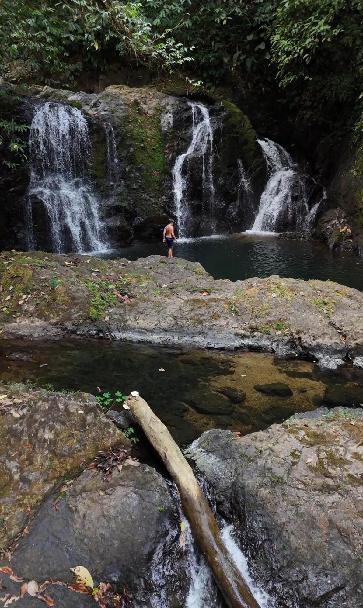 Copa De Arbol & Rainforest Resort 5*