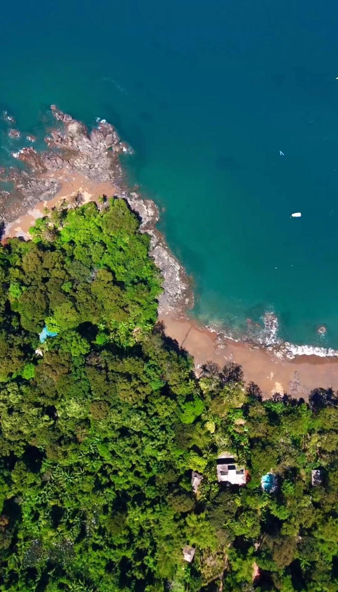 Resort Copa De Arbol & Rainforest 5*