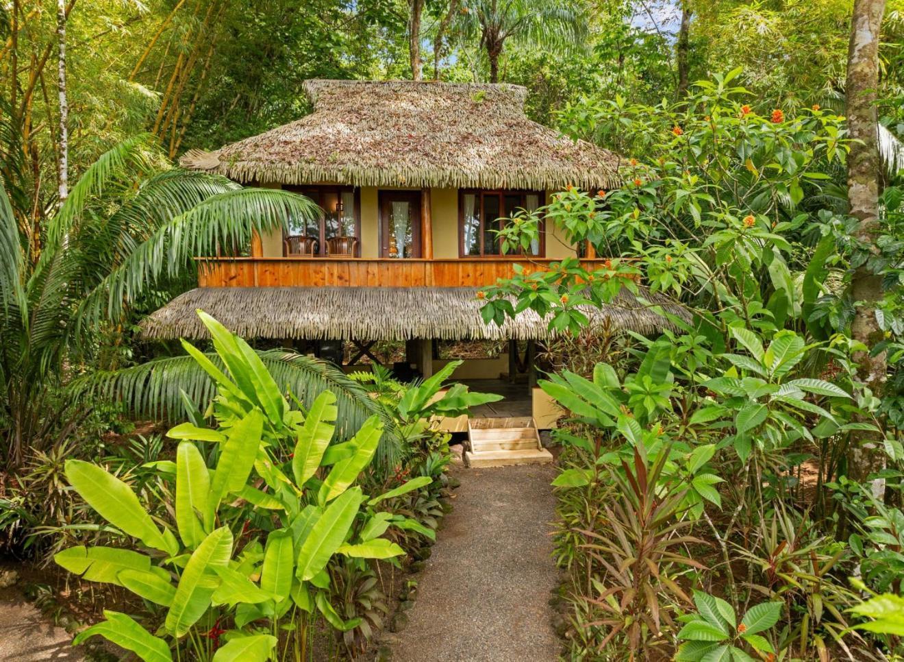 Resort Copa De Arbol & Rainforest Drake Bay