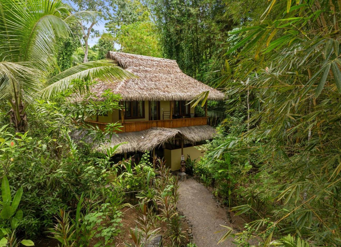 Copa De Arbol & Rainforest 5* Drake Bay