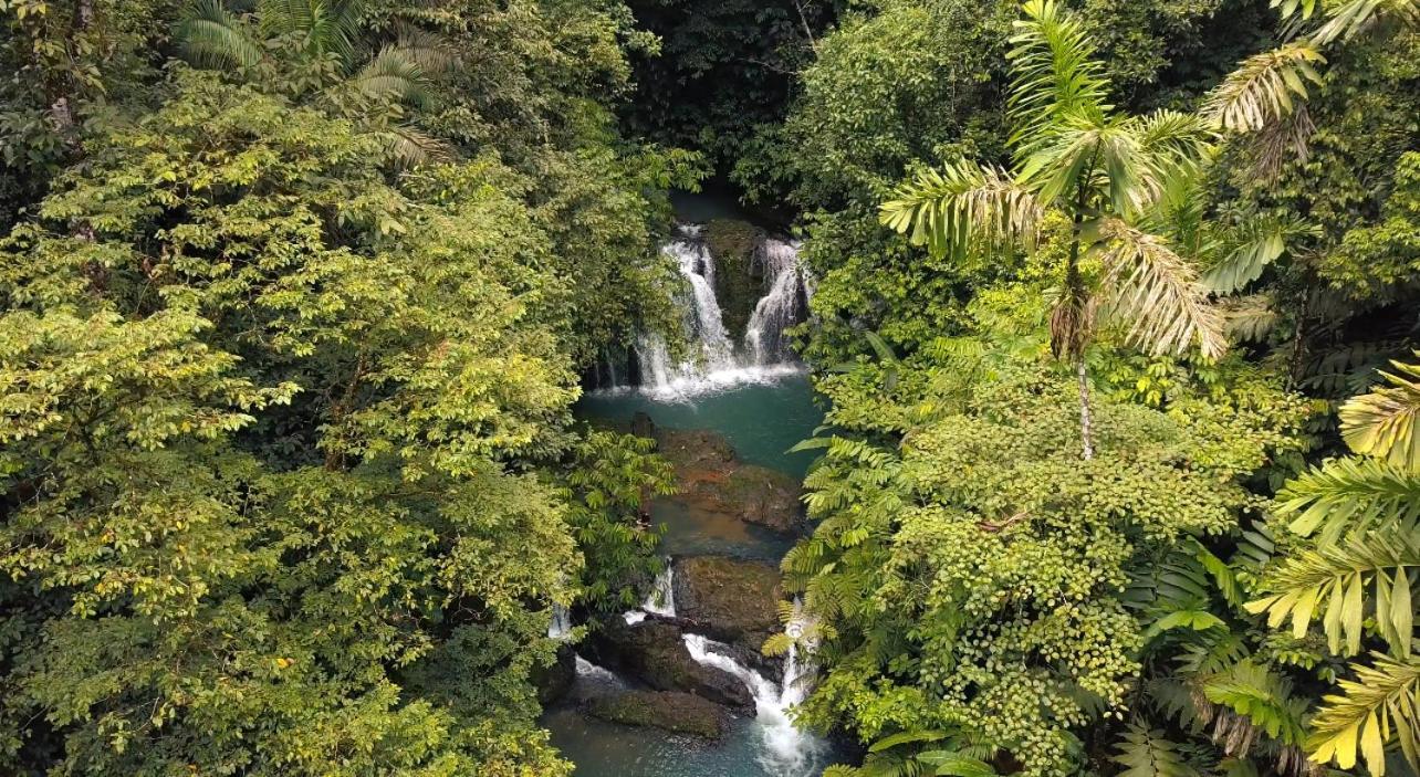 Resort Copa De Arbol & Rainforest