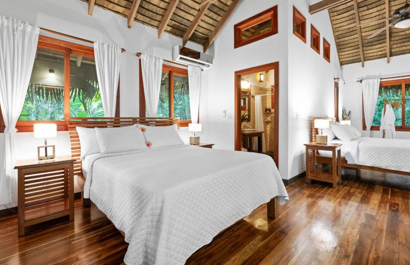 Copa De Arbol & Rainforest Resort Drake Bay