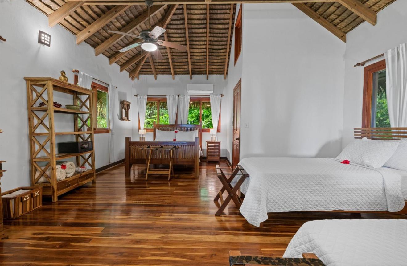 Copa De Arbol & Rainforest Drake Bay