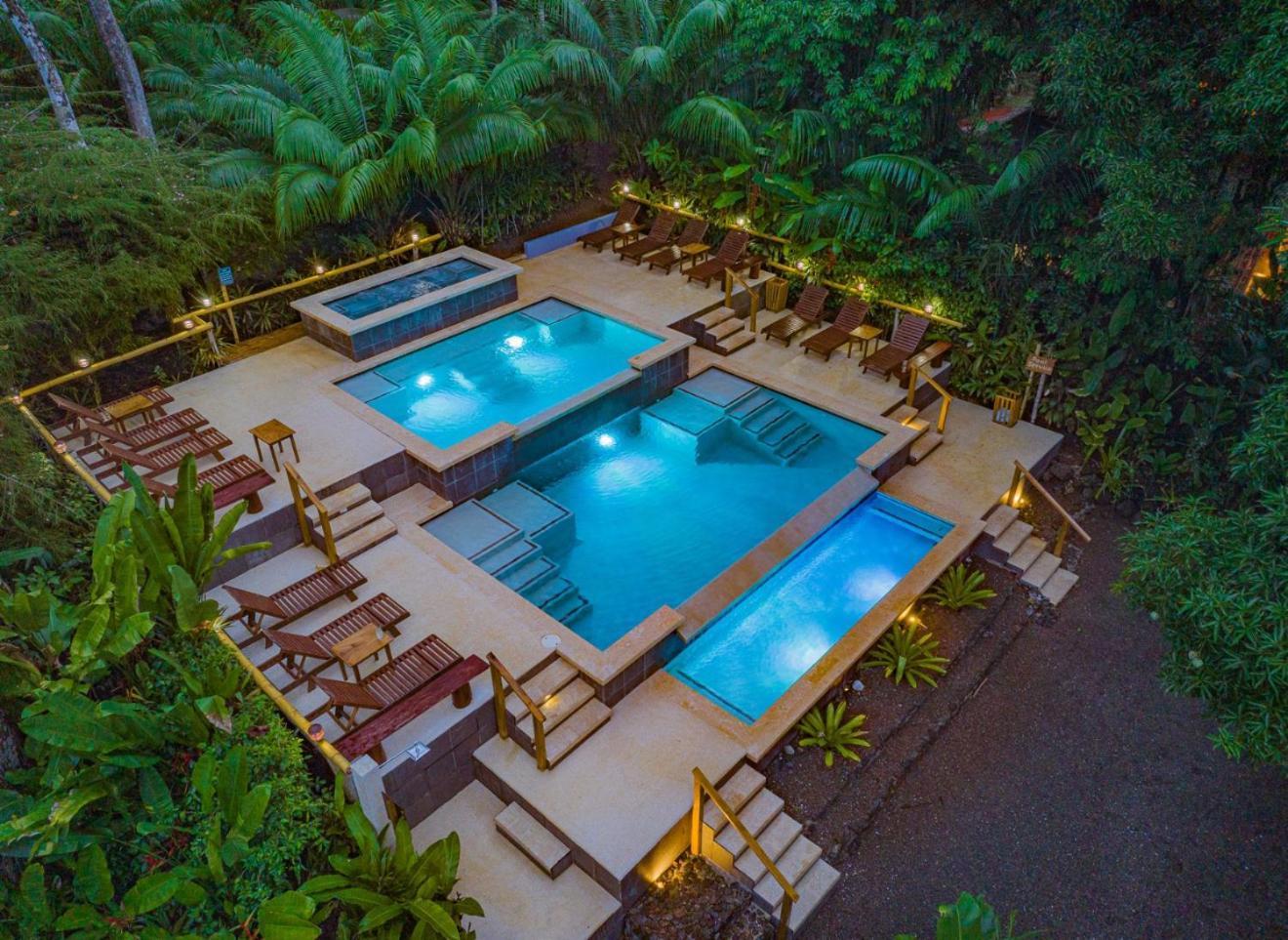 Copa De Arbol & Rainforest