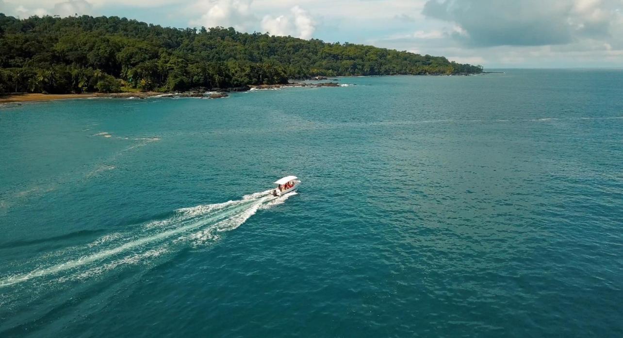 Copa De Arbol & Rainforest Resort