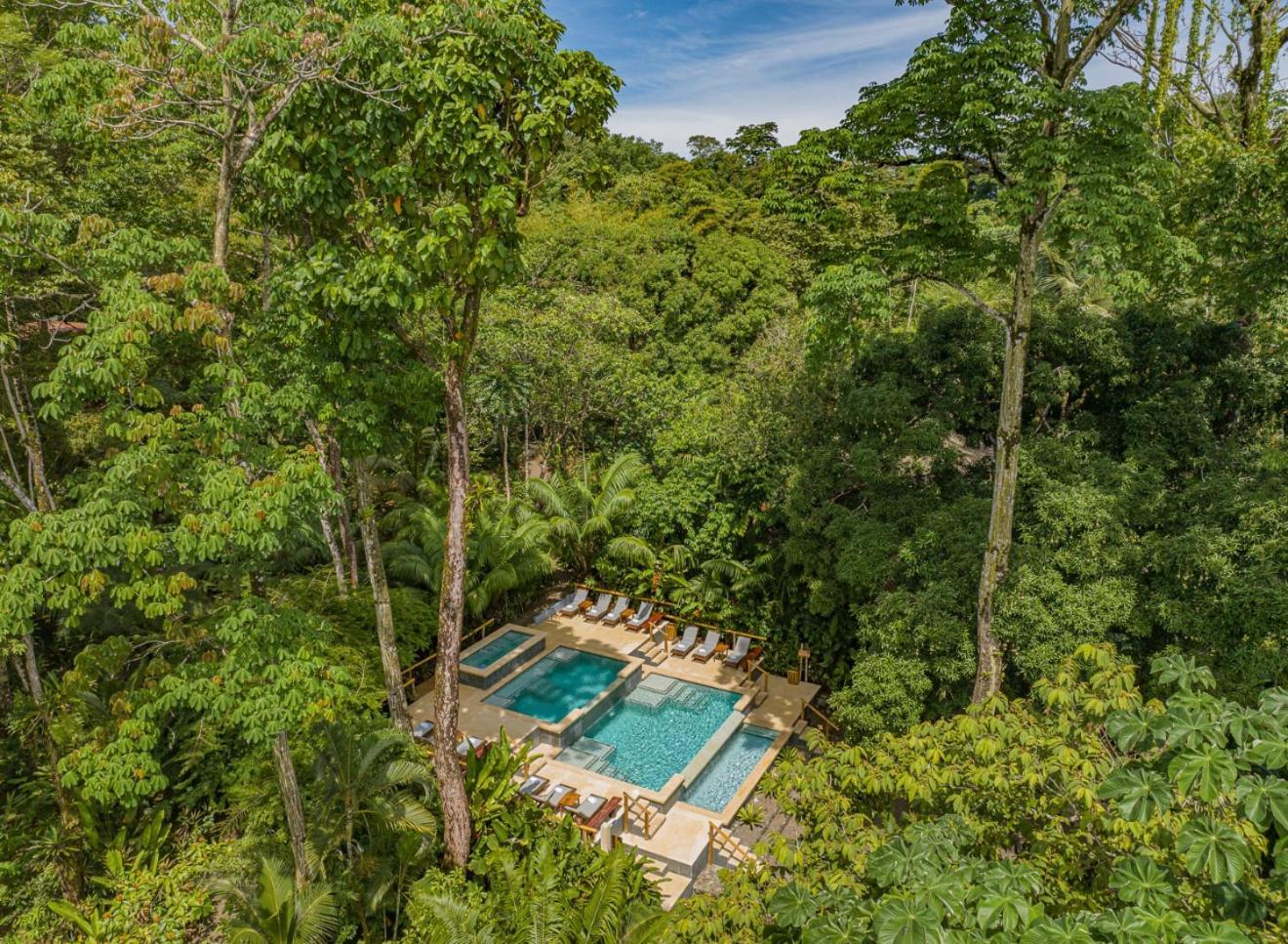 Resort Copa De Arbol & Rainforest 5*