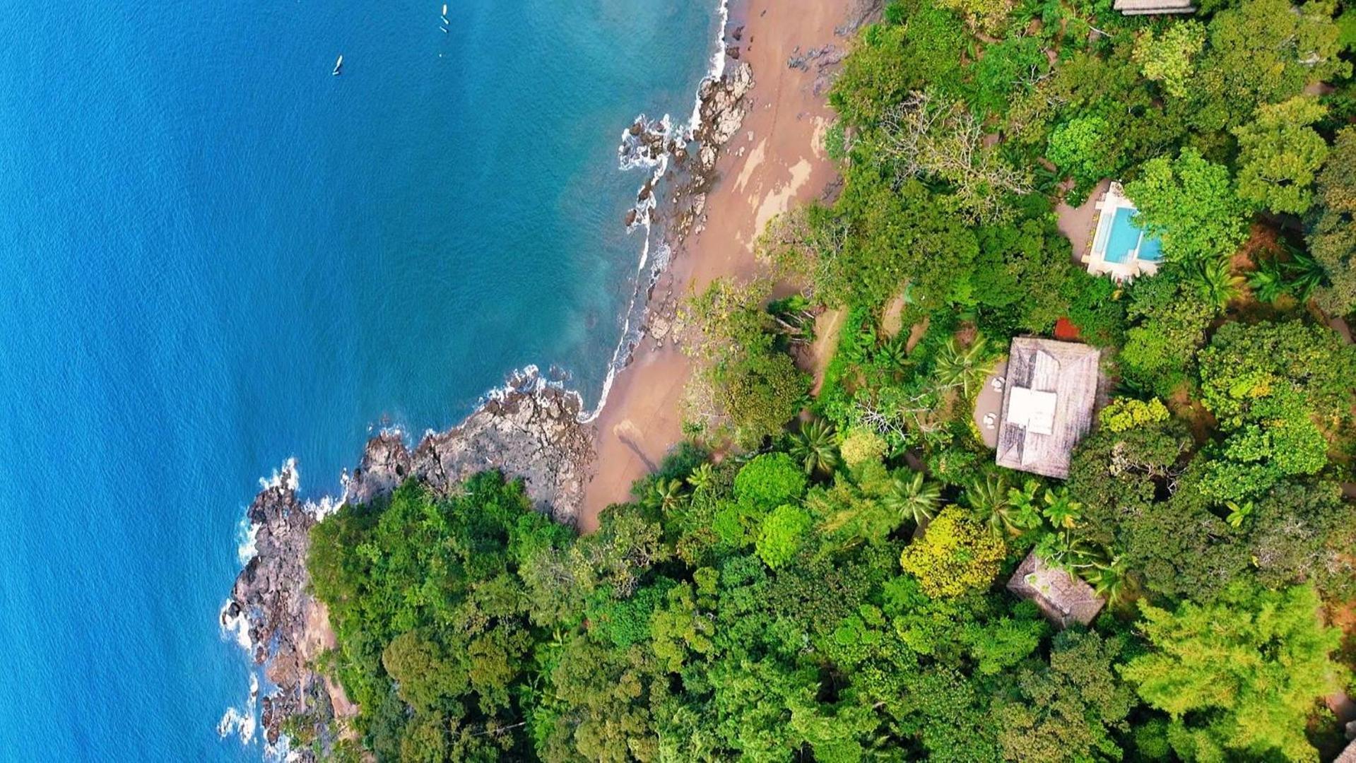 Copa De Arbol & Rainforest Drake Bay