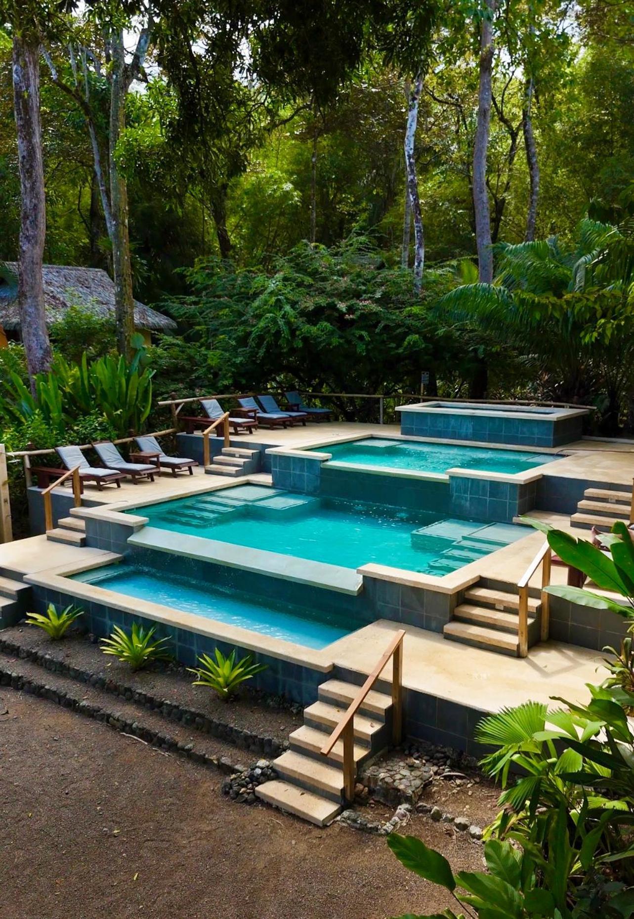 Copa De Arbol & Rainforest