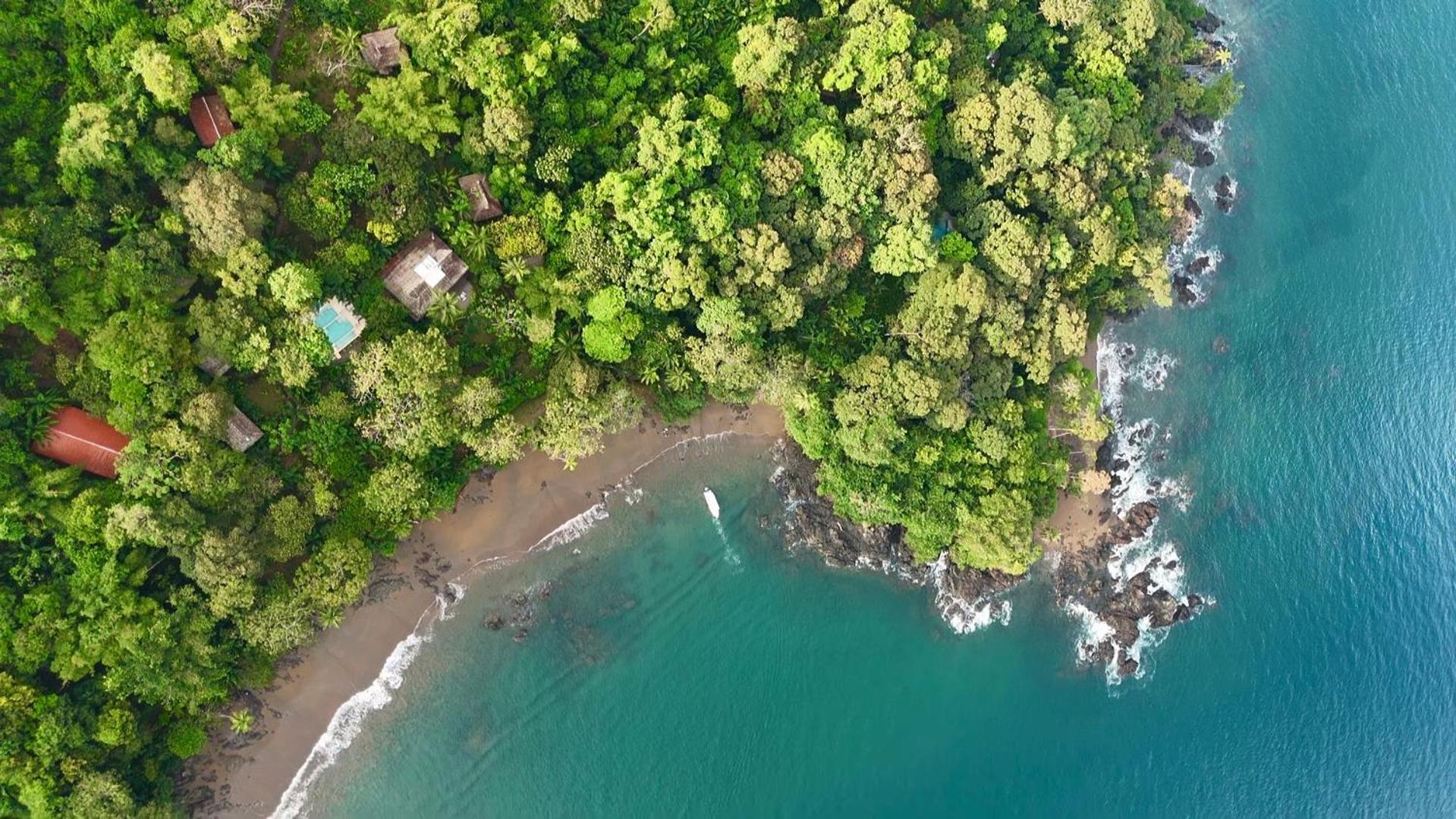 Copa De Arbol & Rainforest Resort
