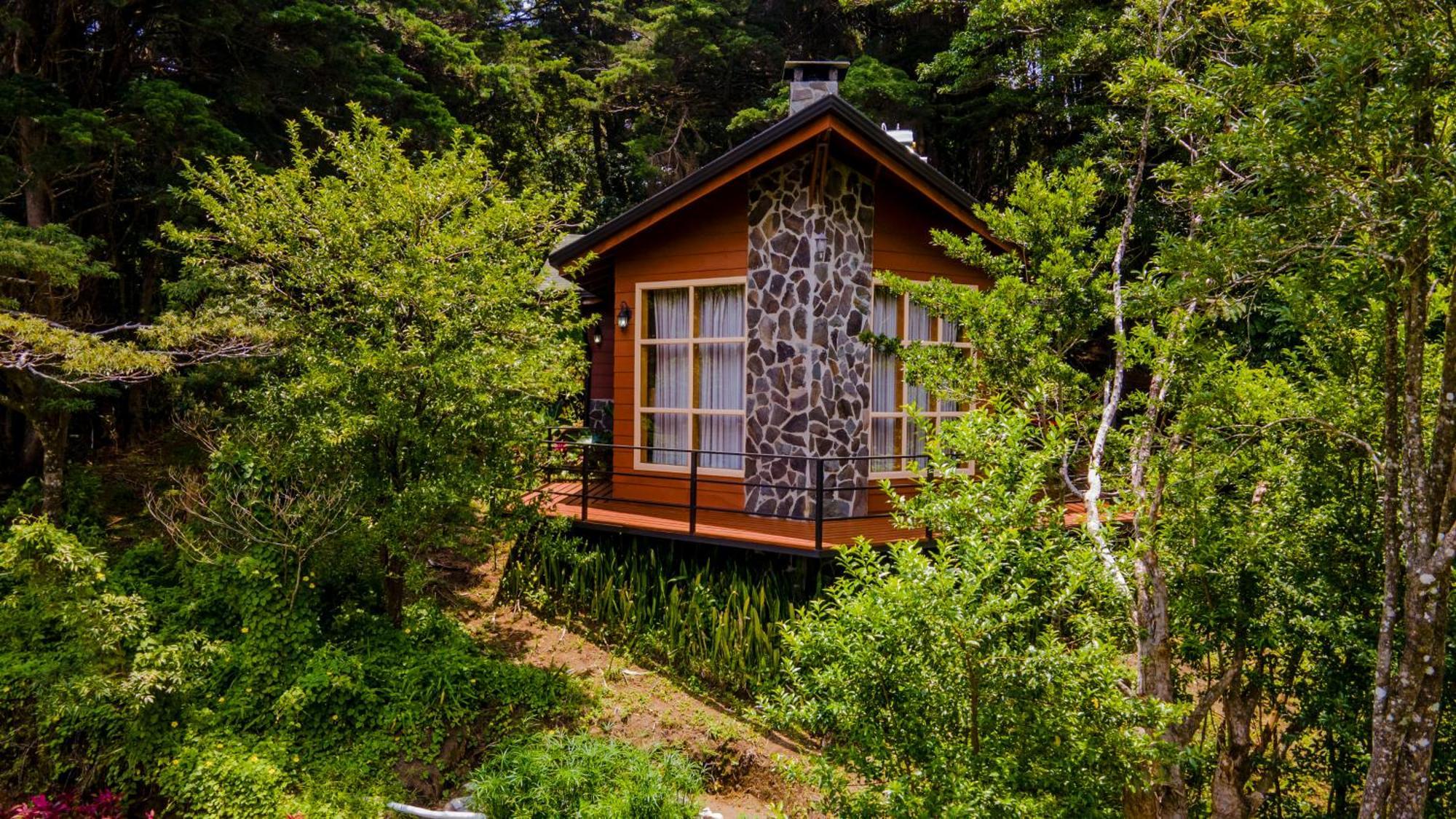 Pinos & Reserve Lodge