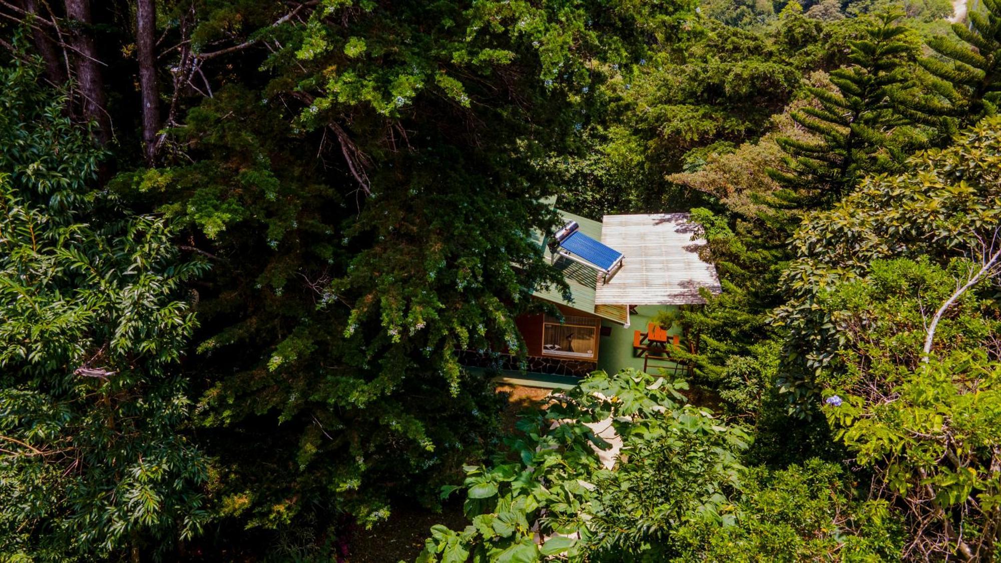 Pinos & Reserve * Monteverde