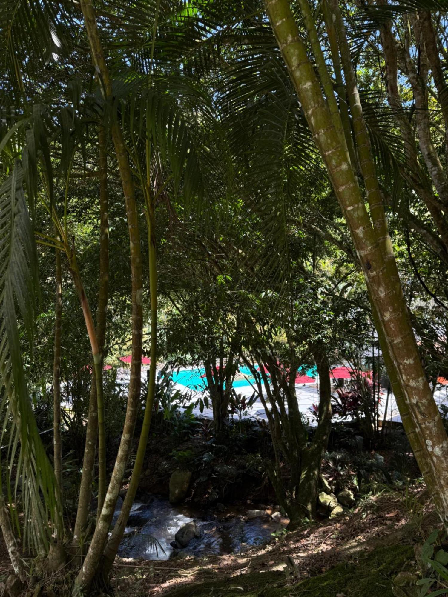 Rio Perlas Thermal & Cartago
