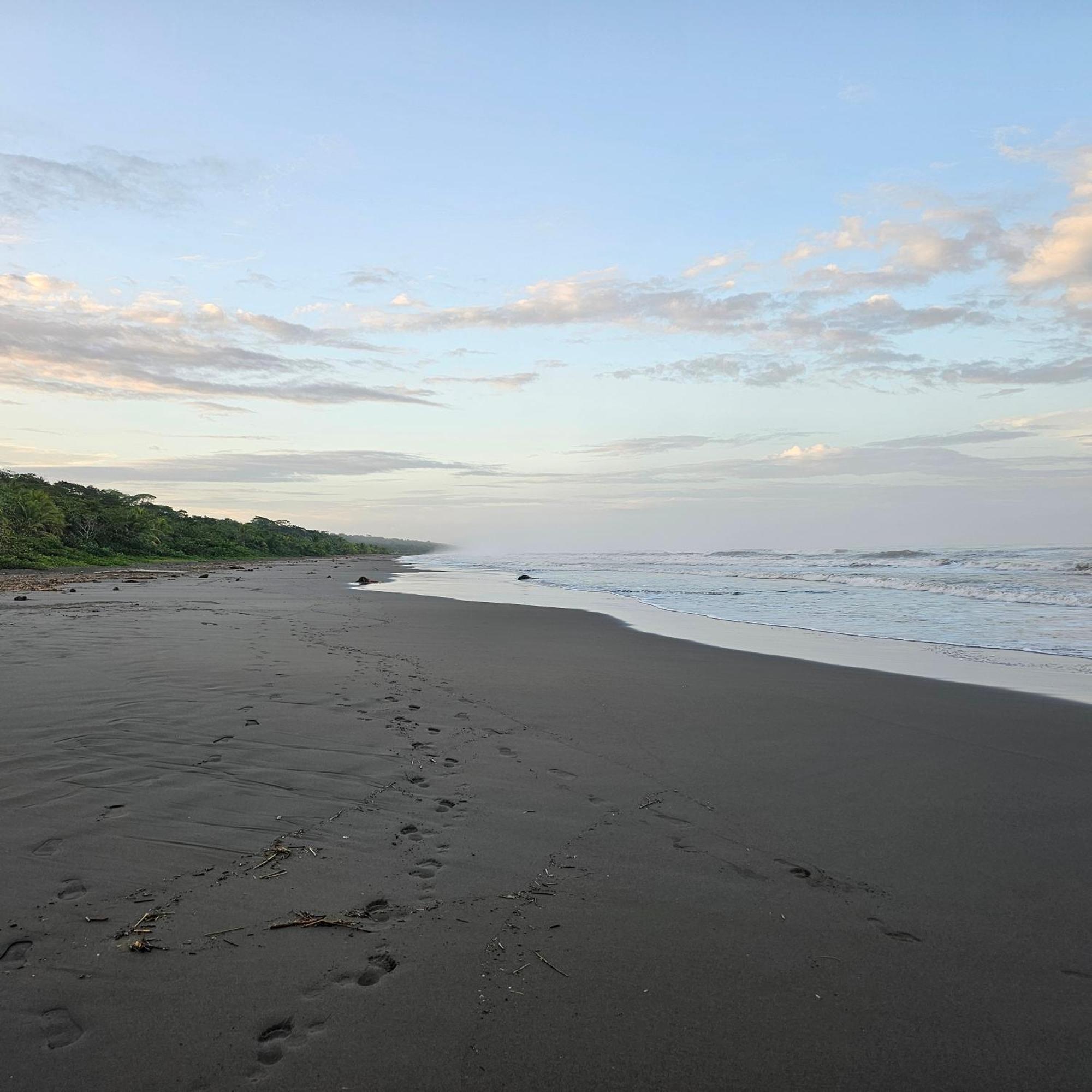 La Rana De Cahuita