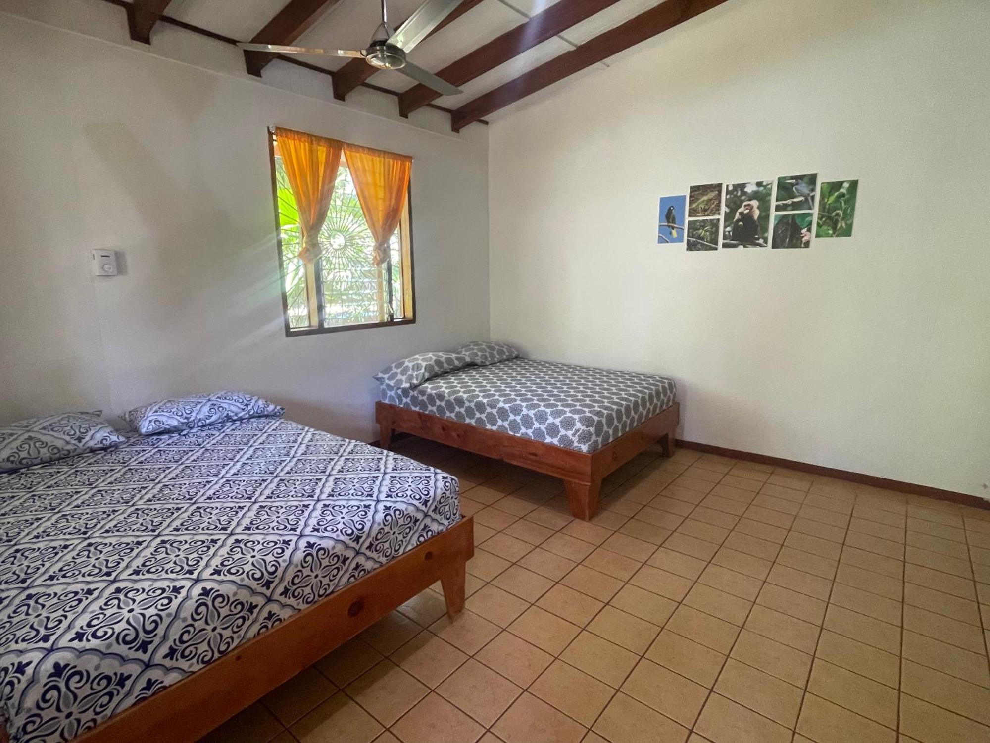 Cabinas Caribe Luna Lodge *