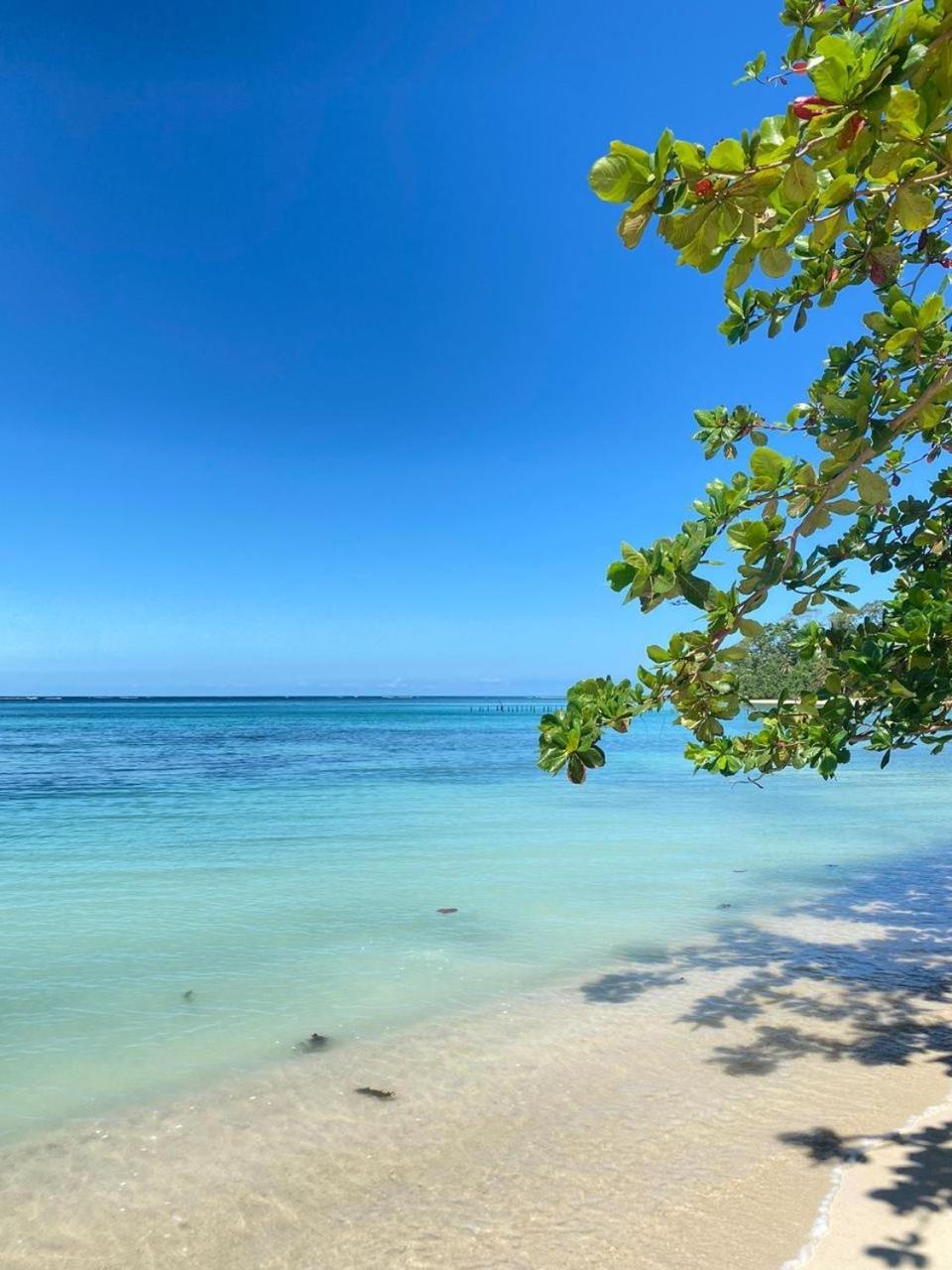 Lodge Cabinas Caribe Luna