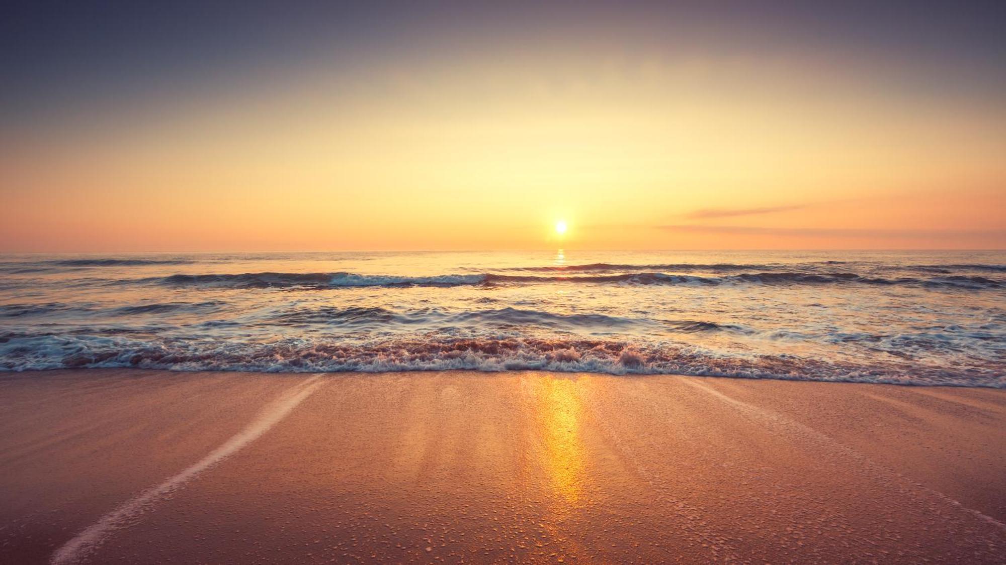 Apartment Beach, Prime Location, Fantastic Watersalt Pool & Cold Plunge, Family & Friends *