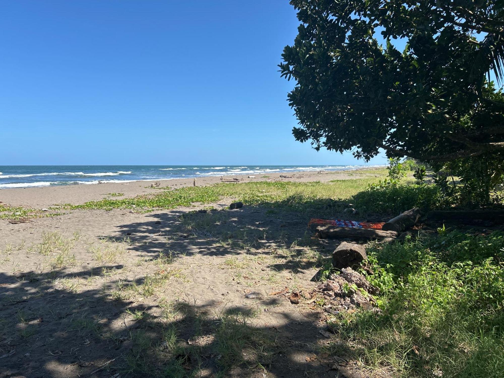 Miss Miriam Beachfront Tortuguero
