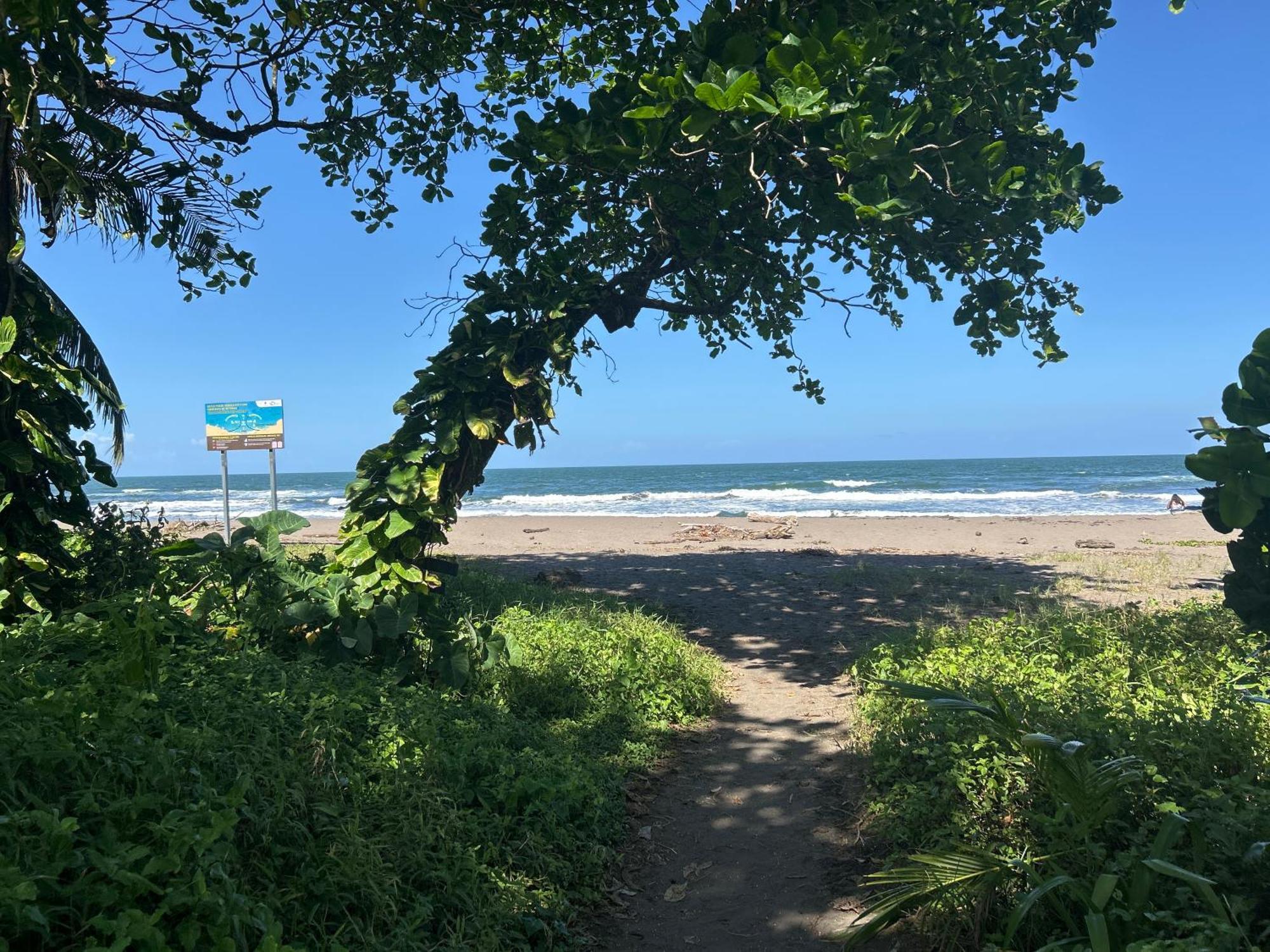 Capsule hotel Miss Miriam Beachfront Tortuguero