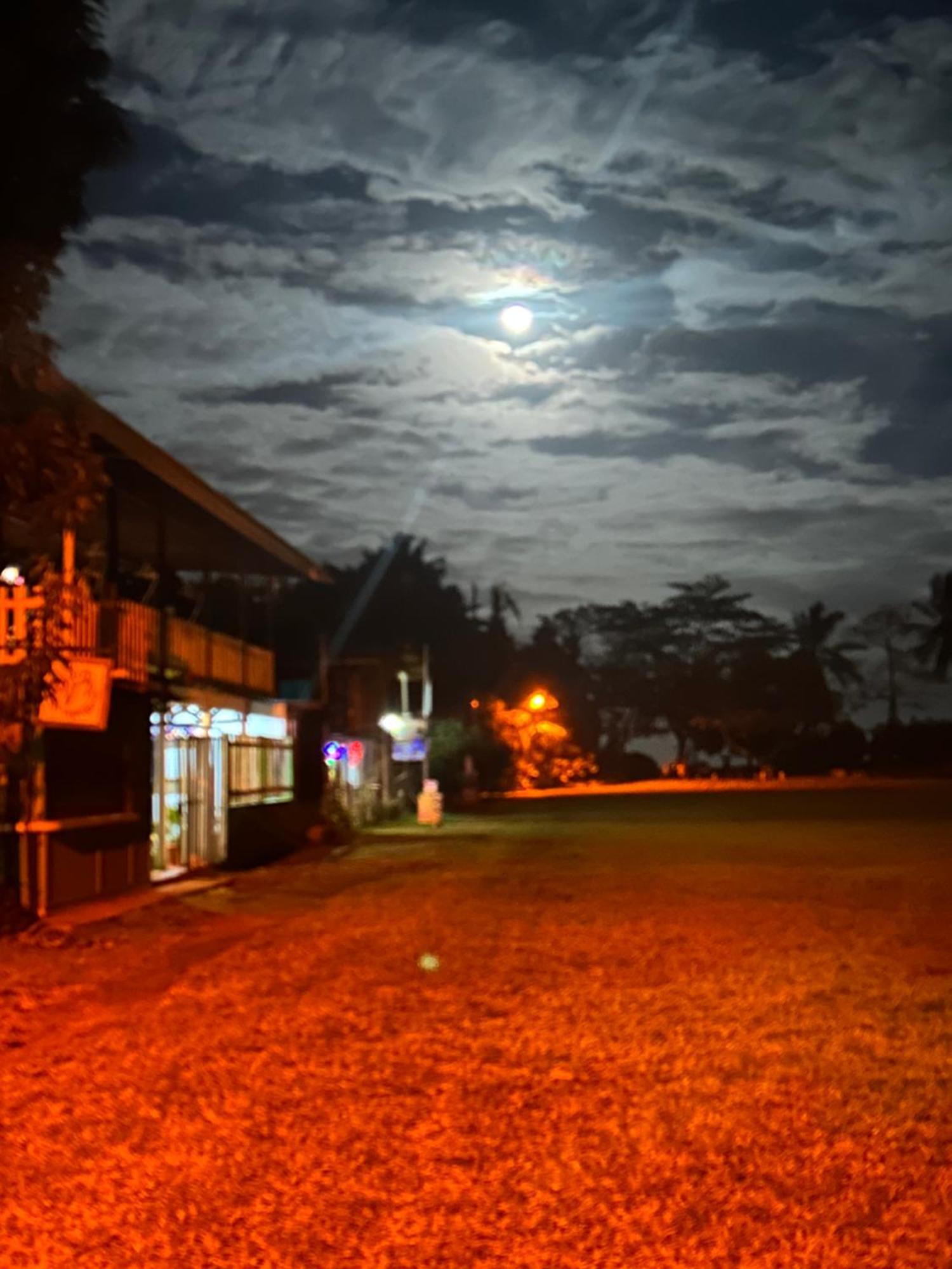 Miss Miriam Beachfront Capsule hotel Tortuguero