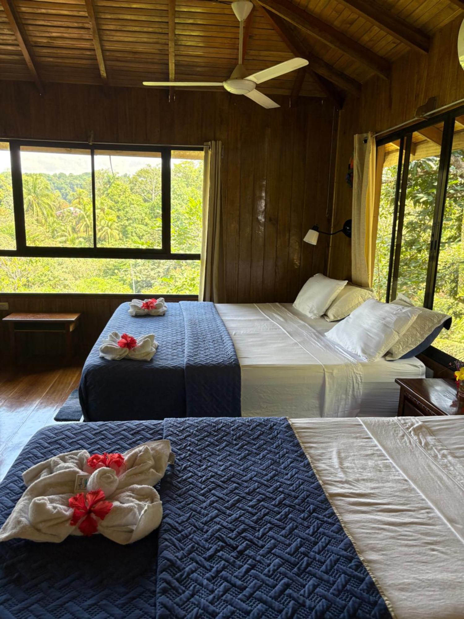 Casa Horizontes Corcovado Bed & Breakfast