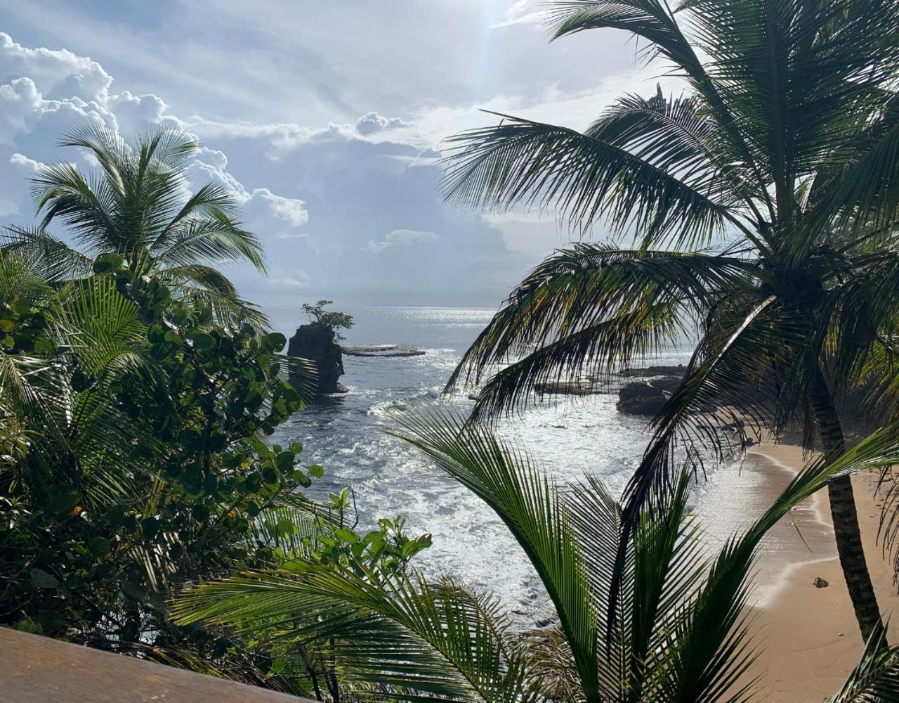 La Casita Cozy Beachfront With Shared Pool Access