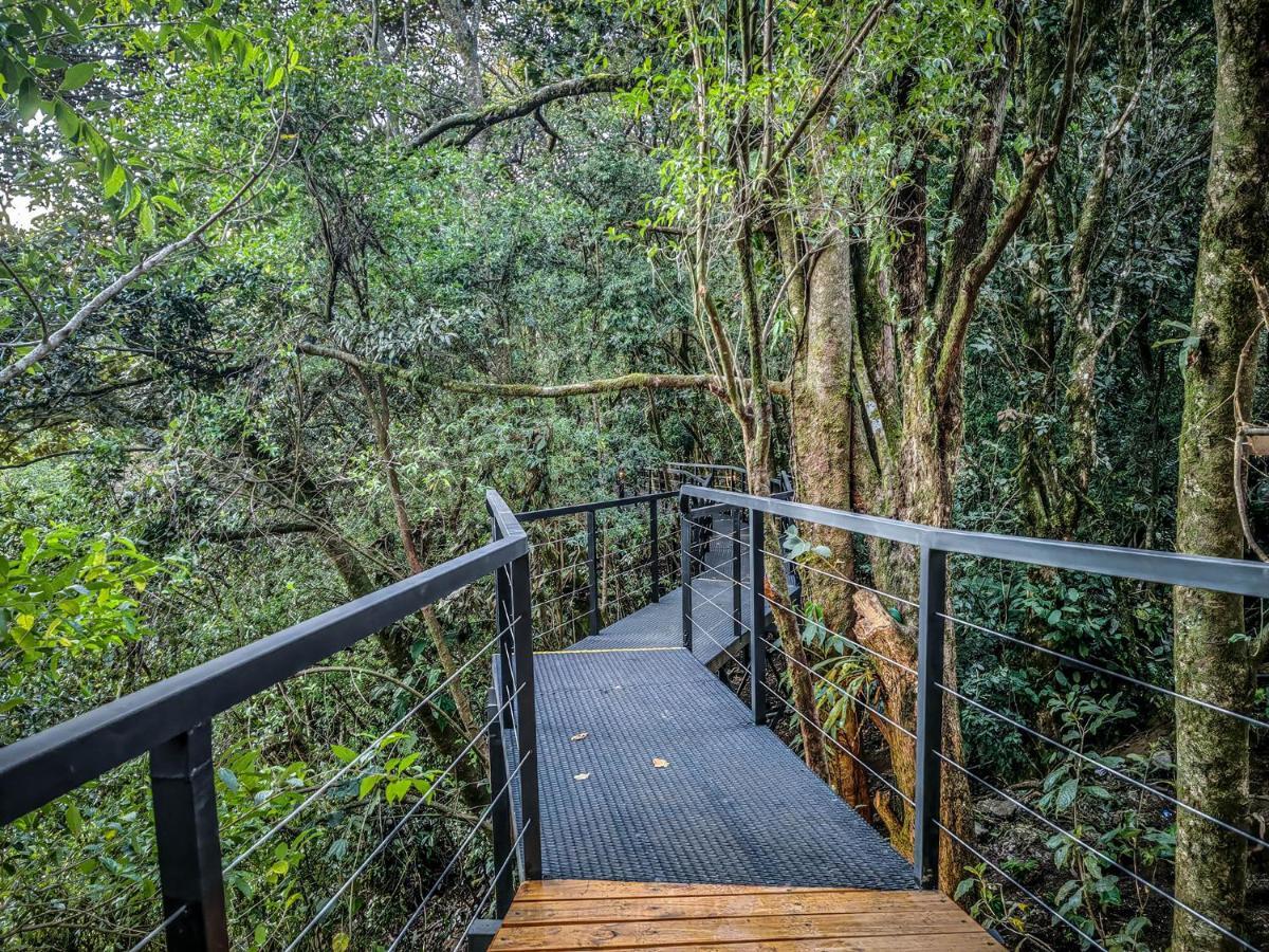 Cloud Forest By Boeena