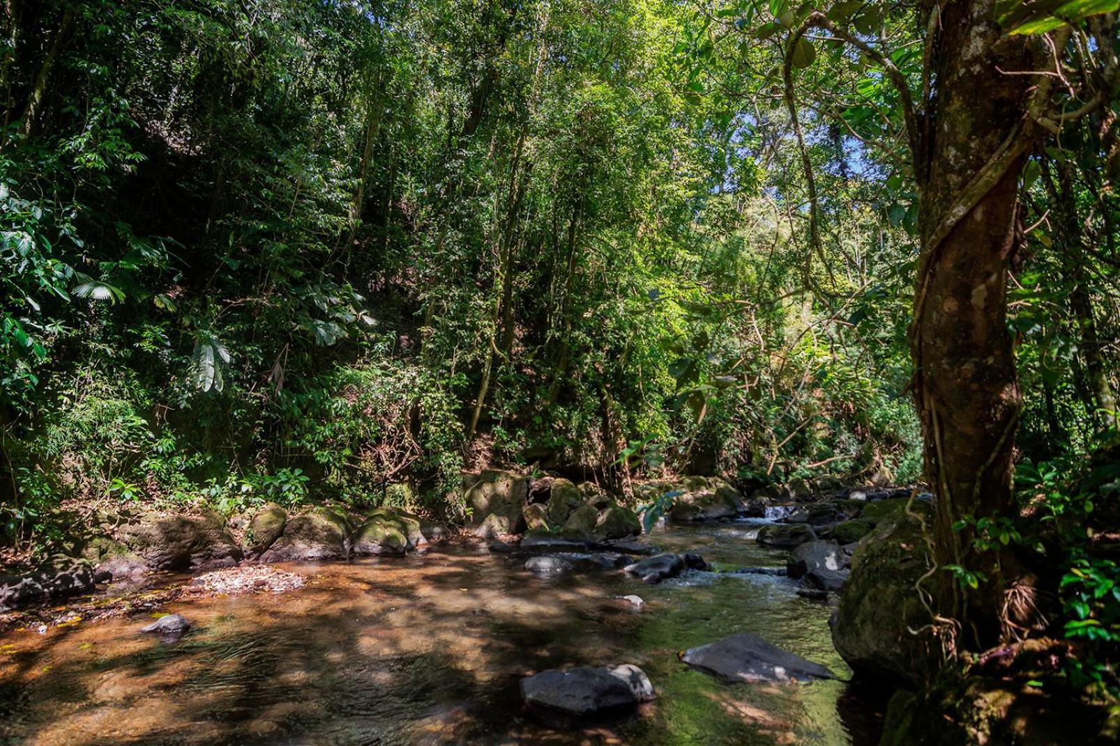 Lodge Quinta Esencia Alajuela