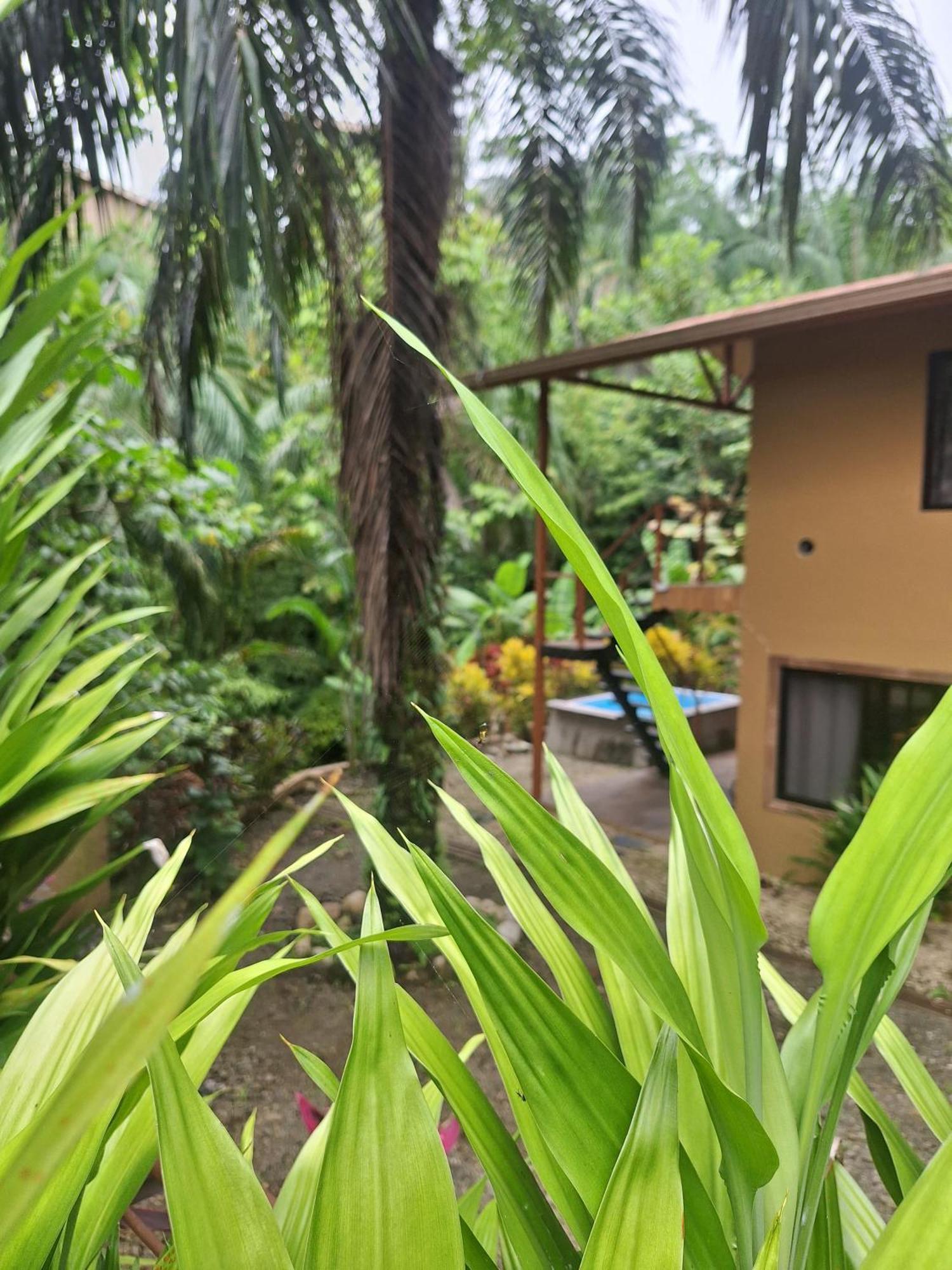 Villa Corcovado Eco Villas-houses-tents-mountain-ocean Views
