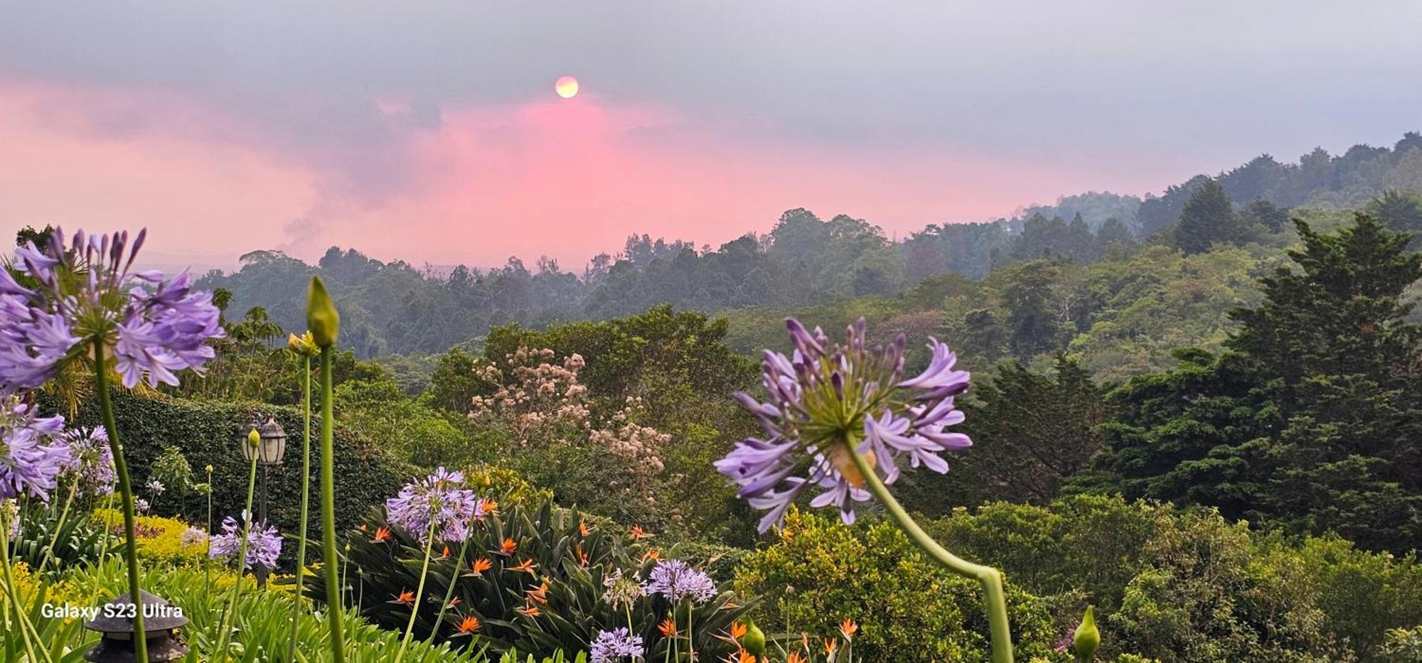 Finca Paraiso Mountain Retreat Near San Jose Airport 5* Birri